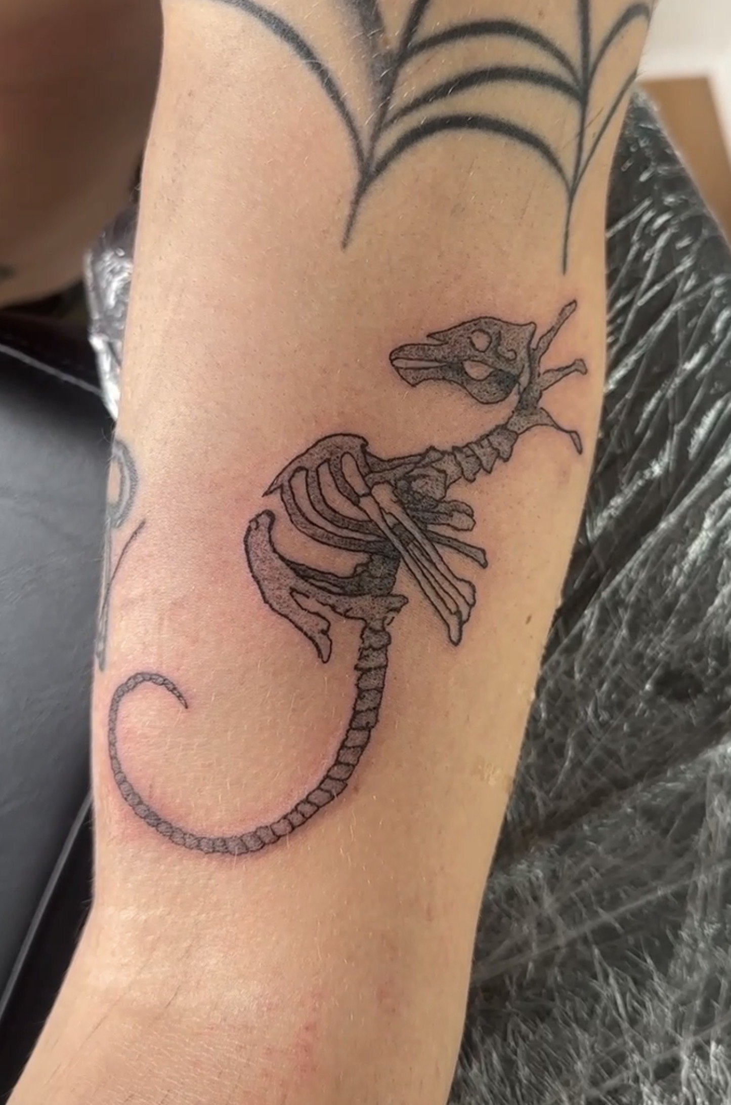 Tattoo eines Dinosaurierskeletts auf dem Oberarm, mit einer Pflanze im Hintergrund.