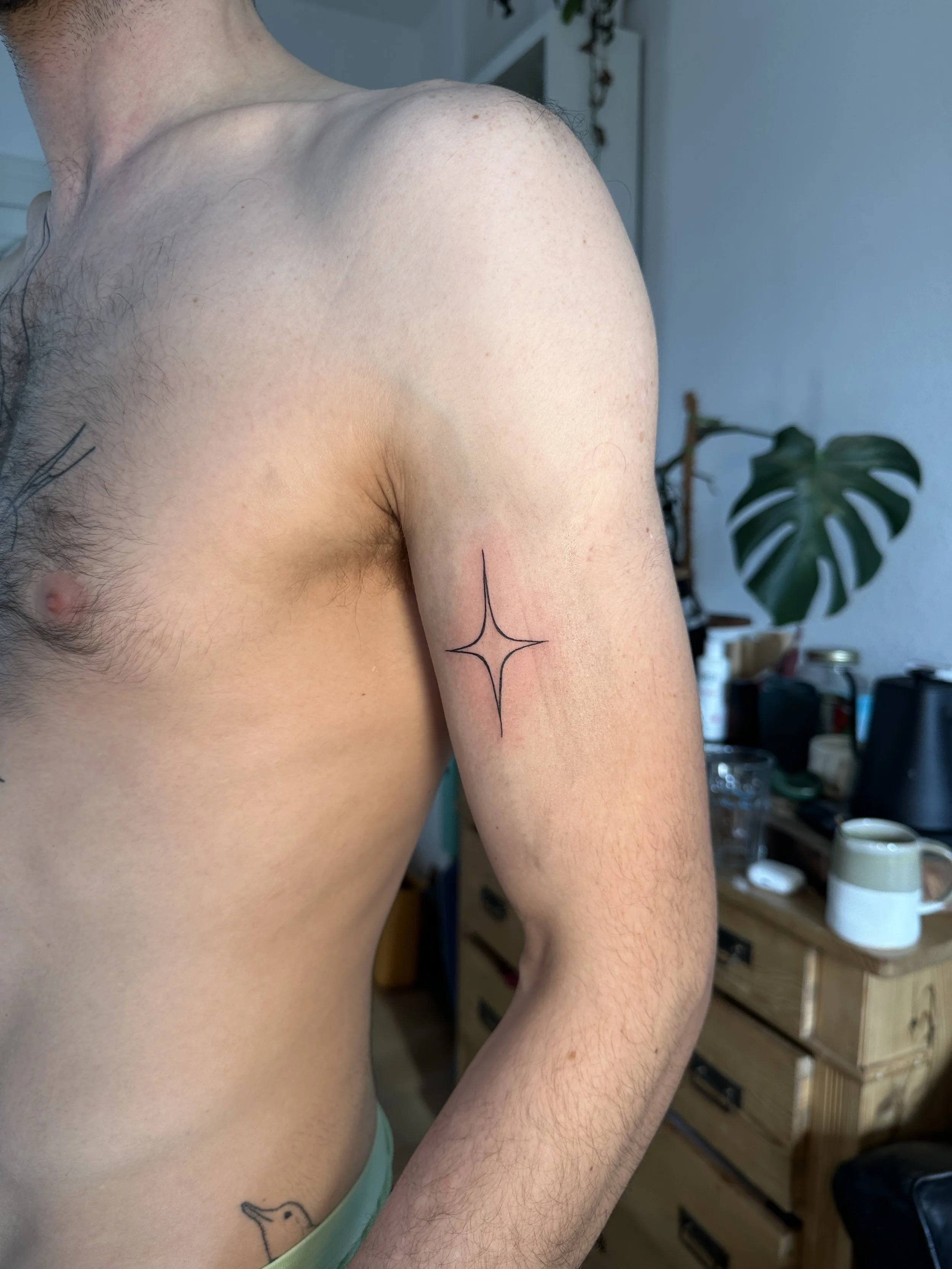 Mann ohne Shirt mit Tattoo auf dem Oberarm, im Hintergrund eine Küchenszene mit Pflanzen und Küchenutensilien.