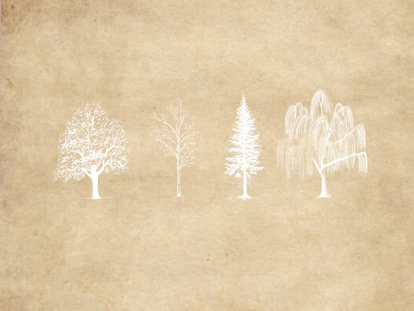 Vier weiße Baumzeichnungen auf braunem Hintergrund, von links nach rechts ein Laubbaum, ein kahlgefällter Baum, eine Tanne und eine Weide.