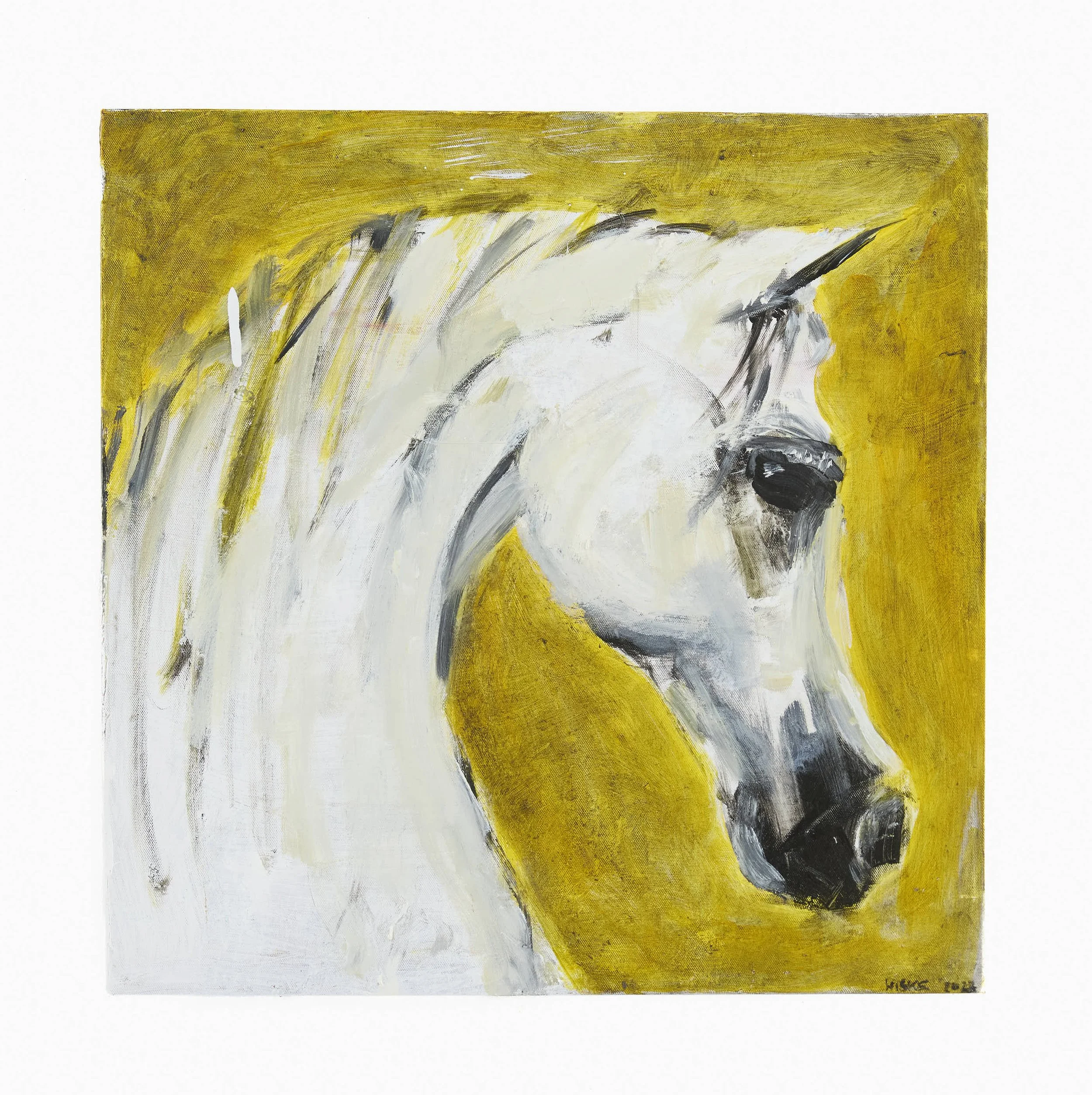 Arabian Horse 2022 45x45 Canvas.jpg