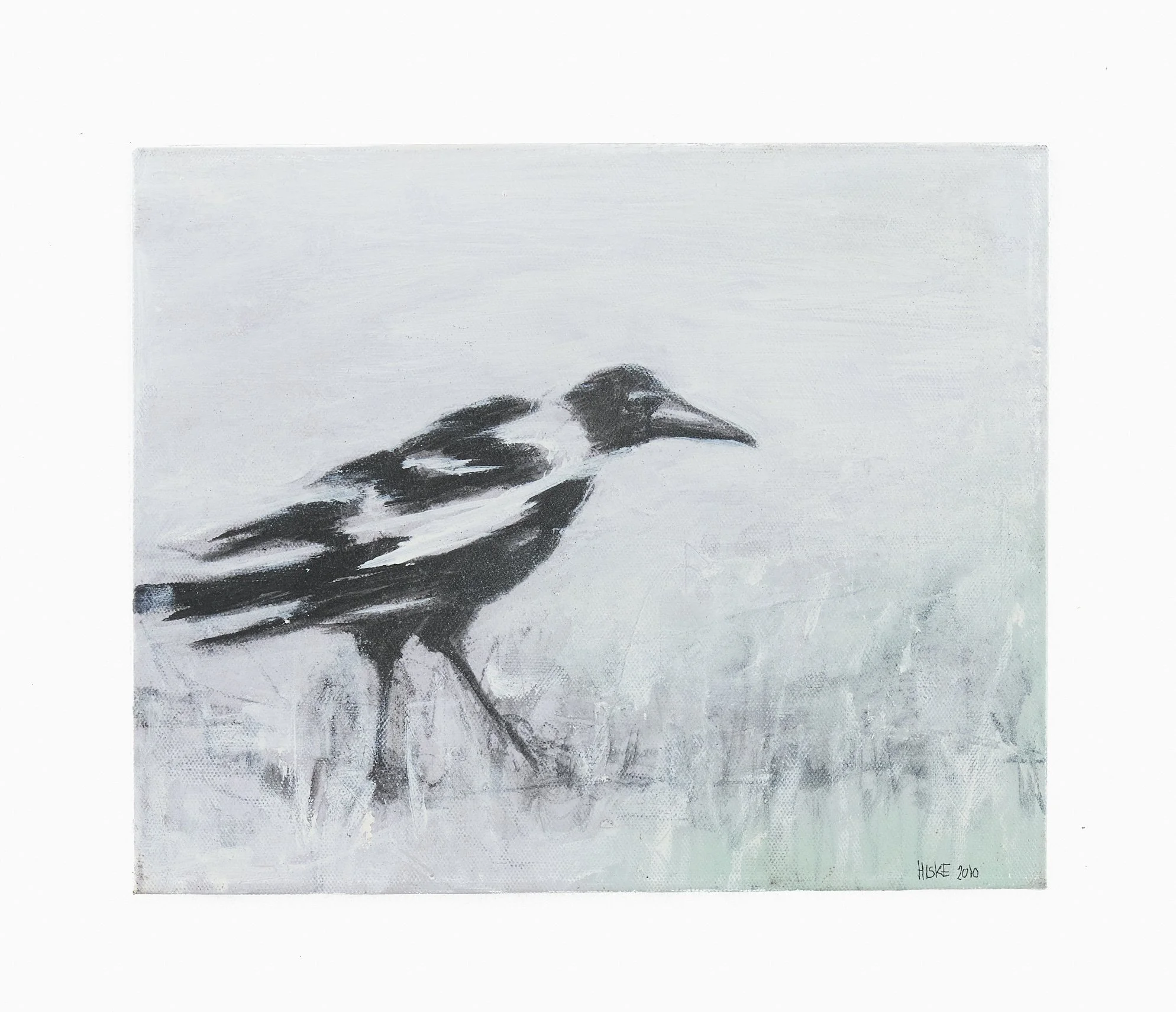 Bird Sydney Park 03-2010 25x30 Canvas.jpg