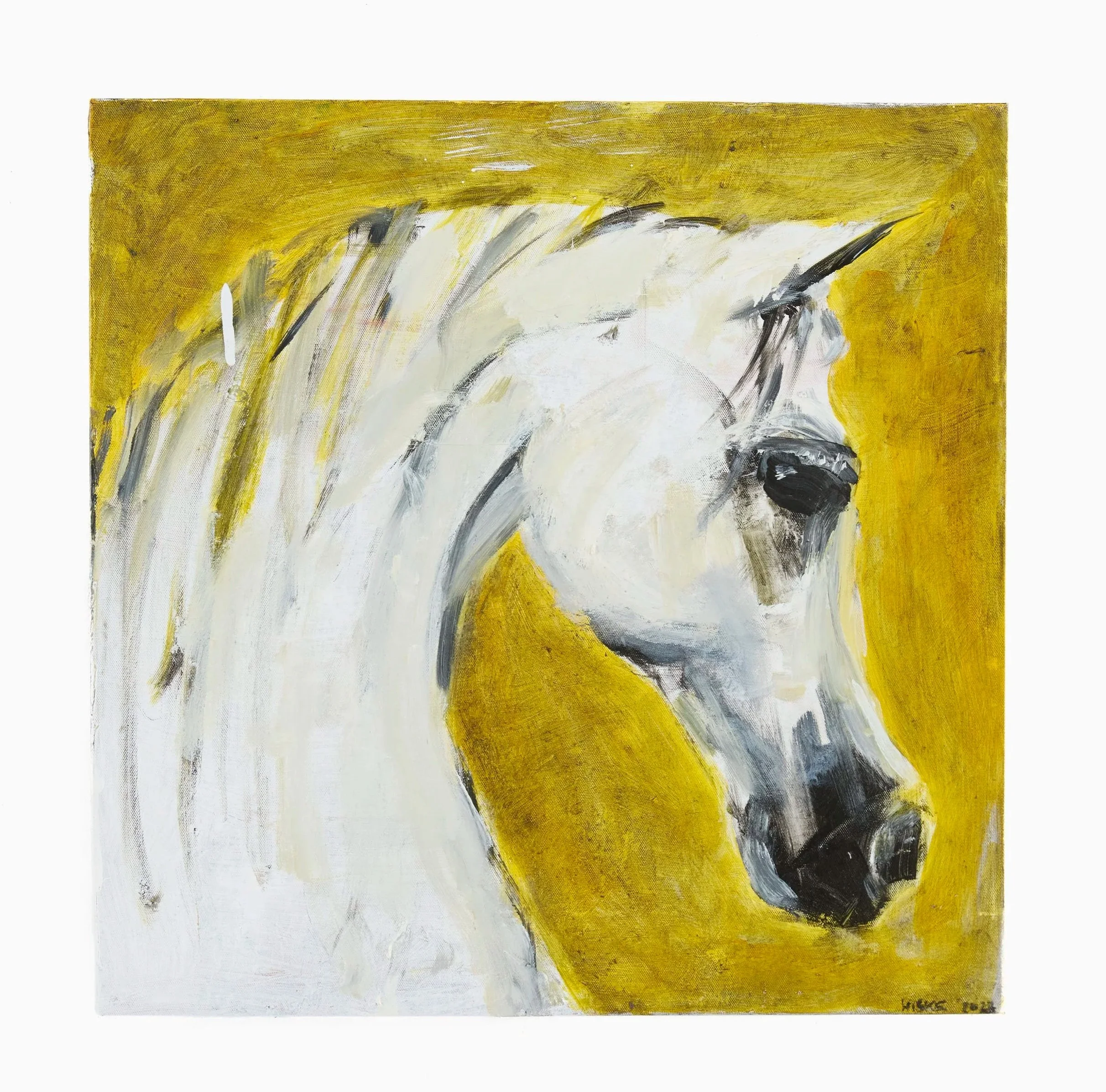 Arabian+Horse+2022+45x45+Canvas.jpg
