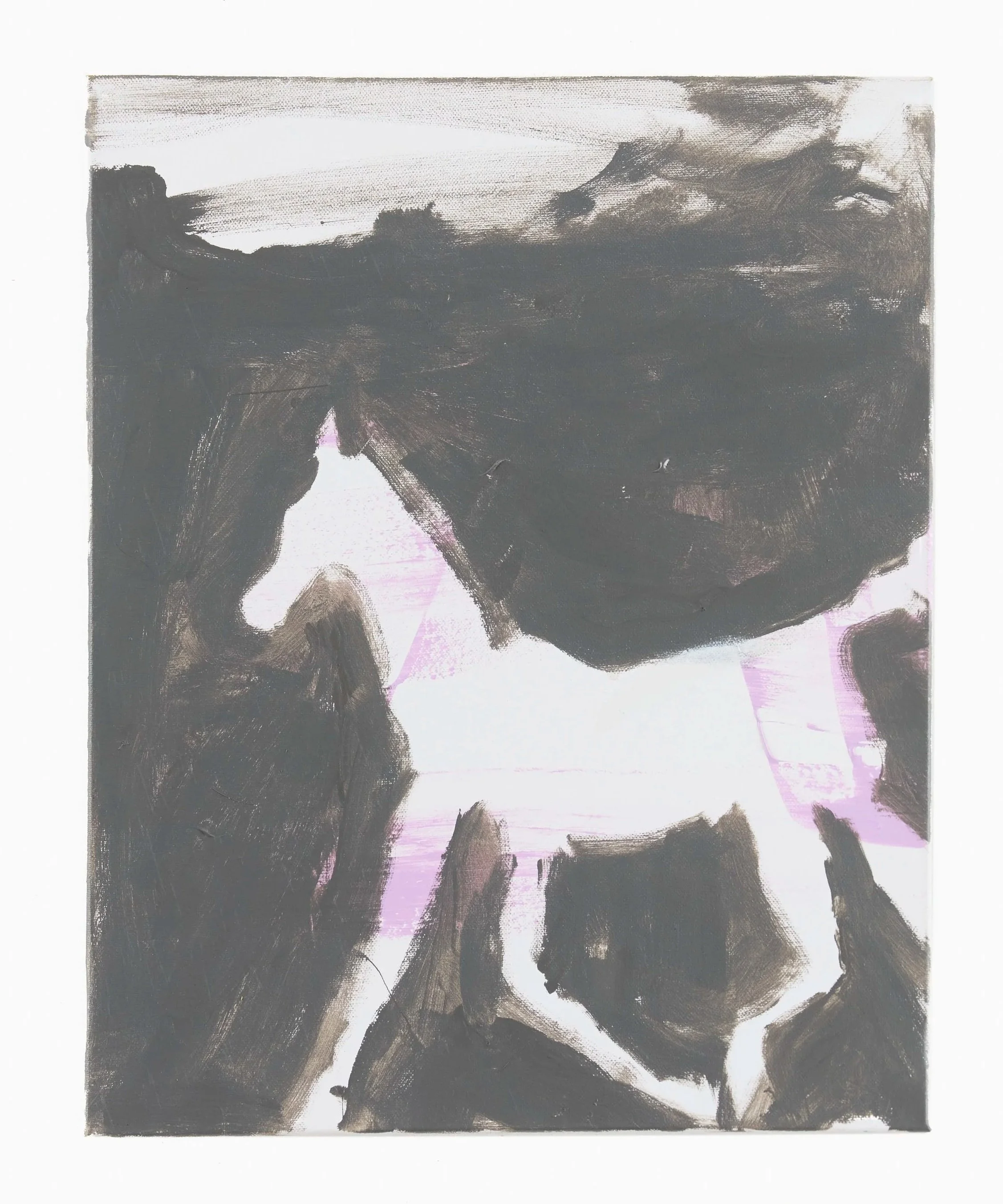 Gihst+Brumbies+2026+50x40+canvas.jpg