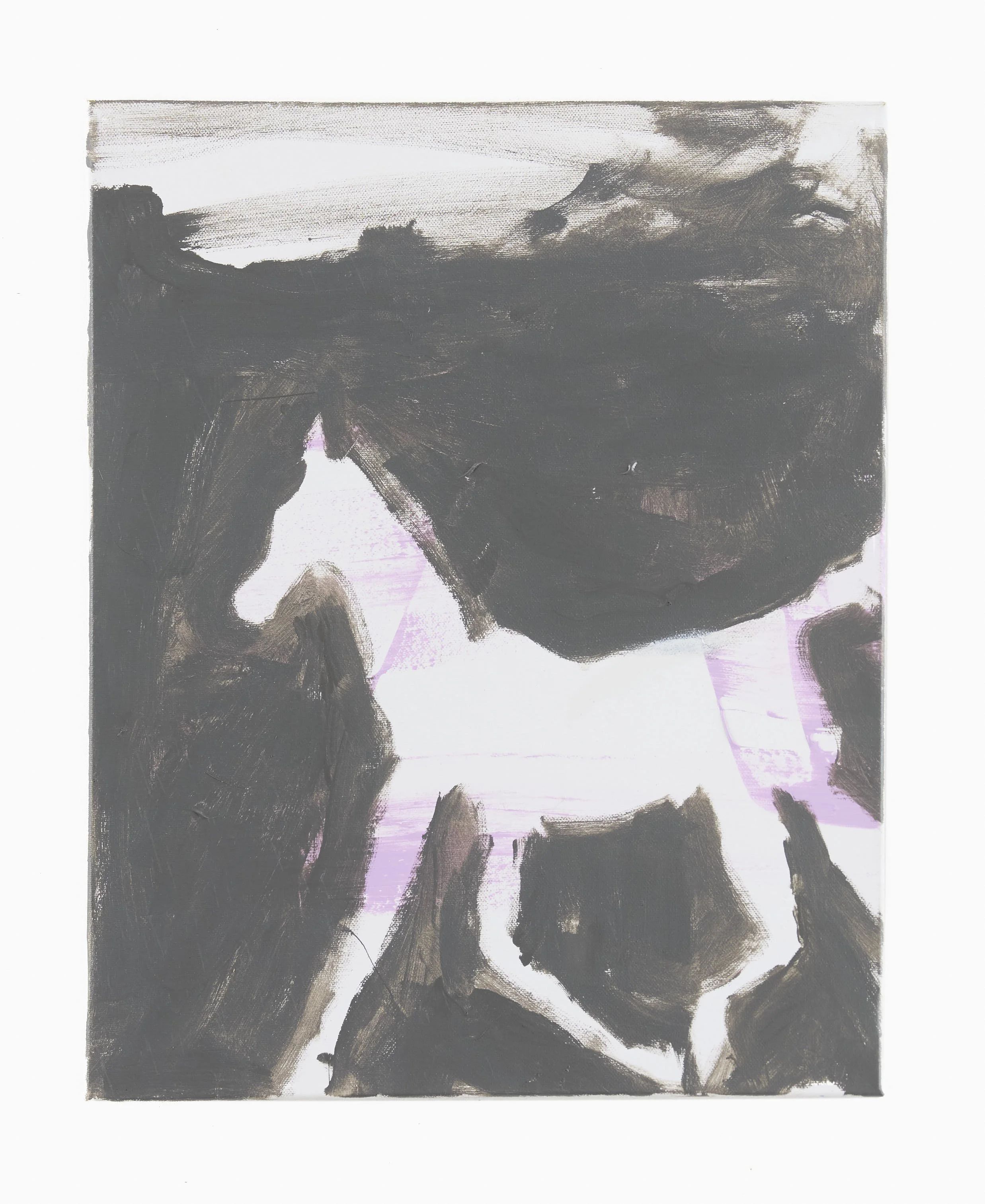 Gihst Brumbies 2026 50x40 canvas.jpg