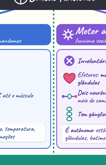 Mapa Mental de Anatomia & Fisiologia - Parte 2: Sistema Nervoso - Tema 4: Somático × Autônomo