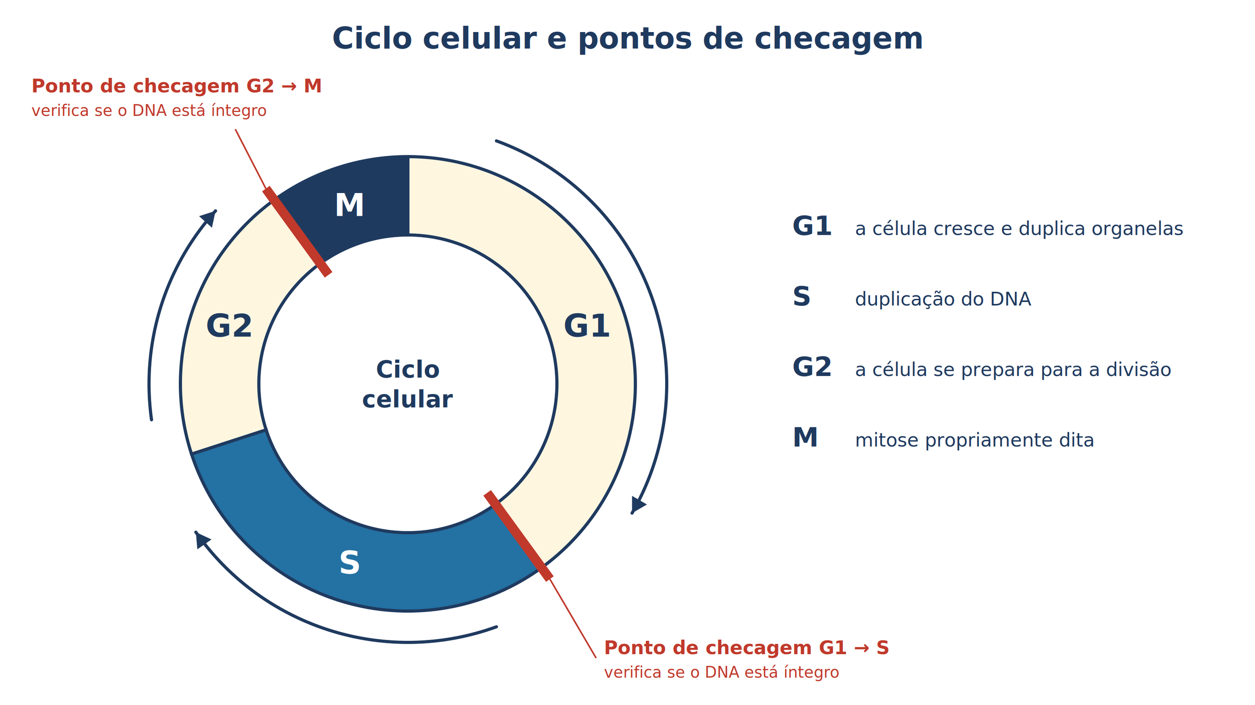 7_Ciclo_celular.png