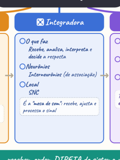 Captura+de+tela+2026-09-21+093346.png