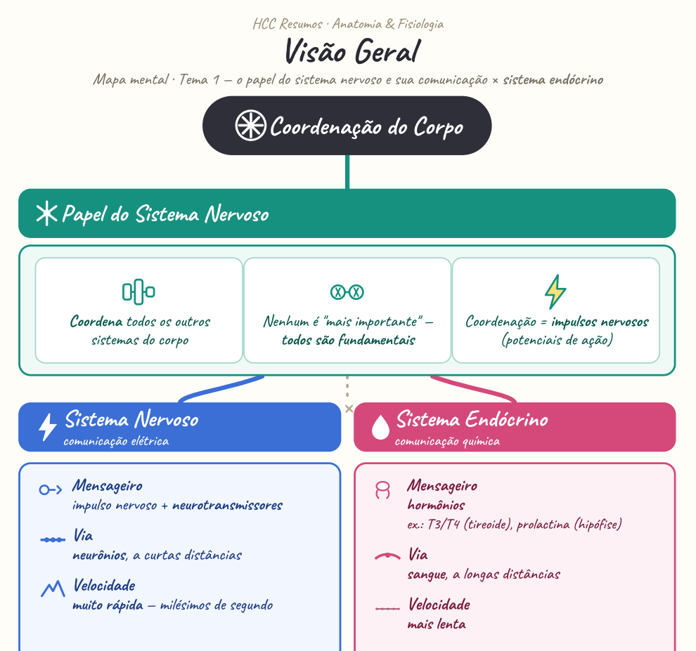 Mapa Mental de Anatomia & Fisiologia - Parte 2: Sistema Nervoso - Tema 1: Visão Geral
