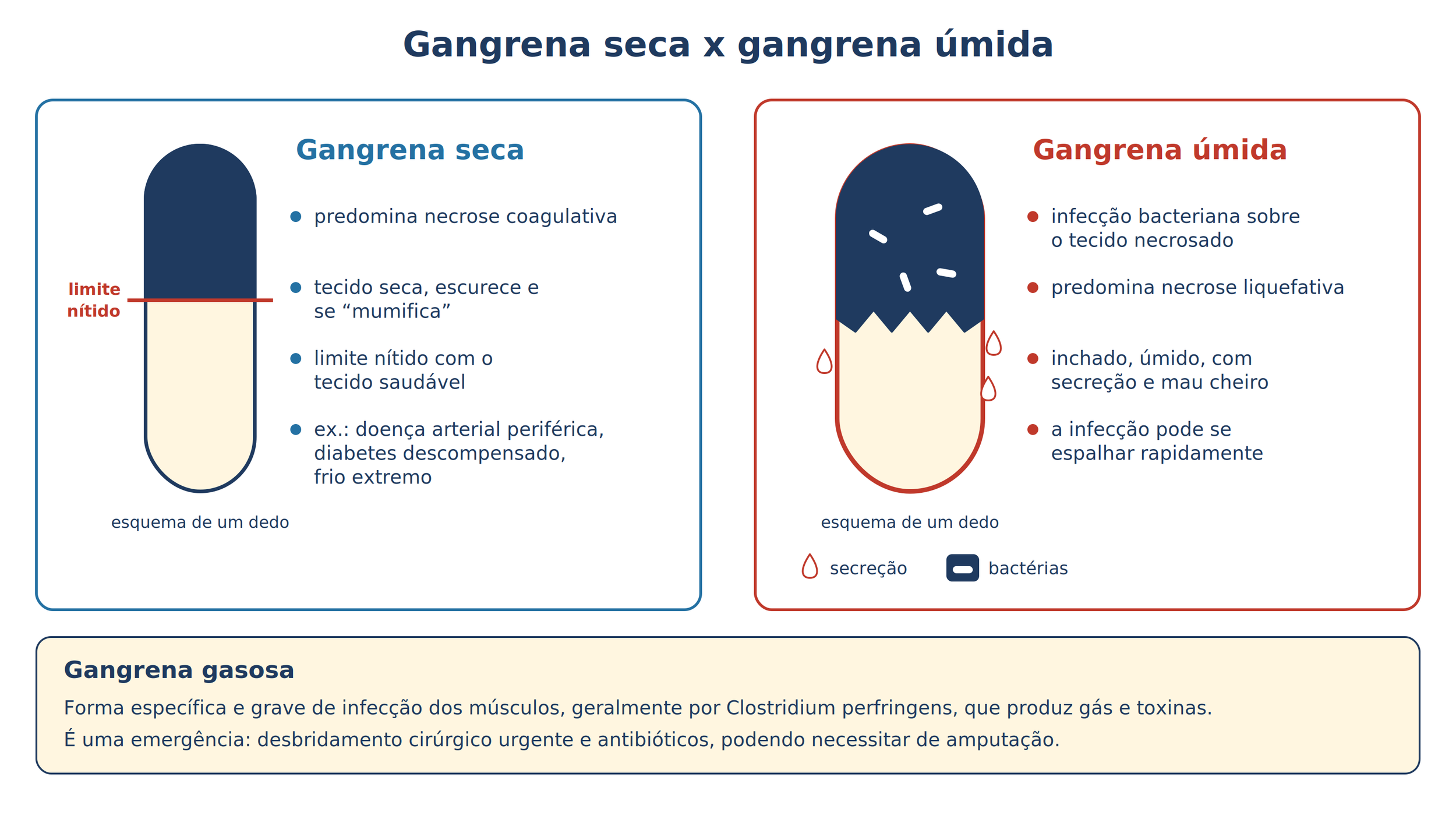 14_Gangrena_seca_x_umida.png