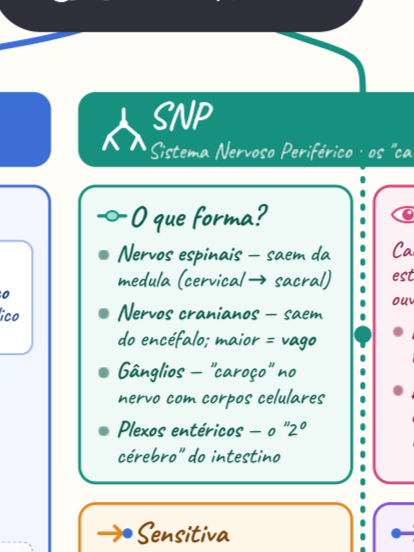 Captura+de+tela+2026-09-21+091406.png