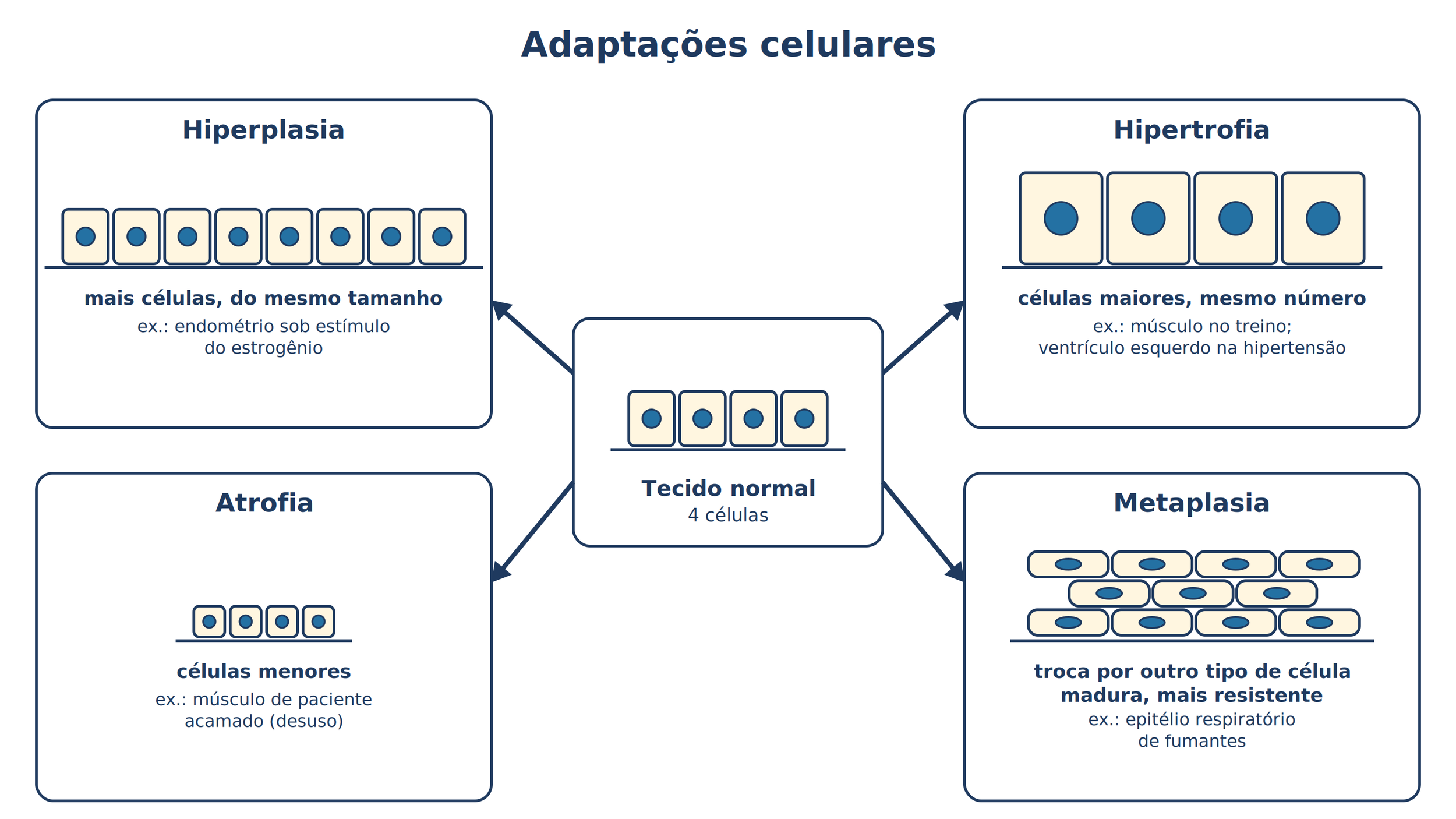 15_Adaptacoes_celulares.png