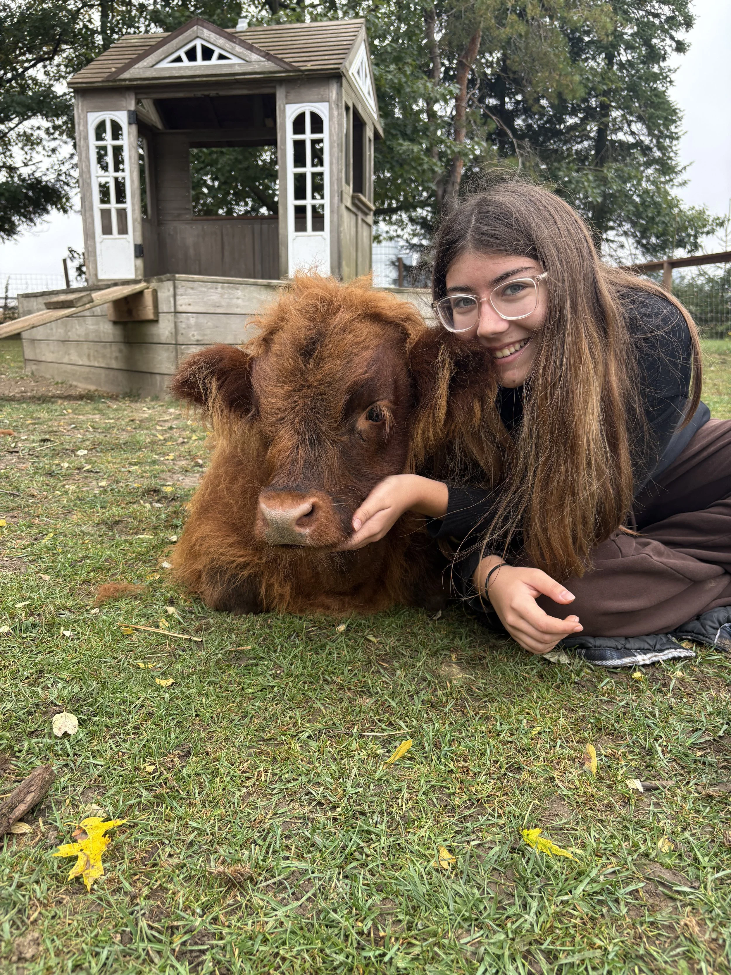 A girl with glasses hugging a brown fluffy calf outdoors in front of a wooden playhouse, with trees and cloudy sky in the background.