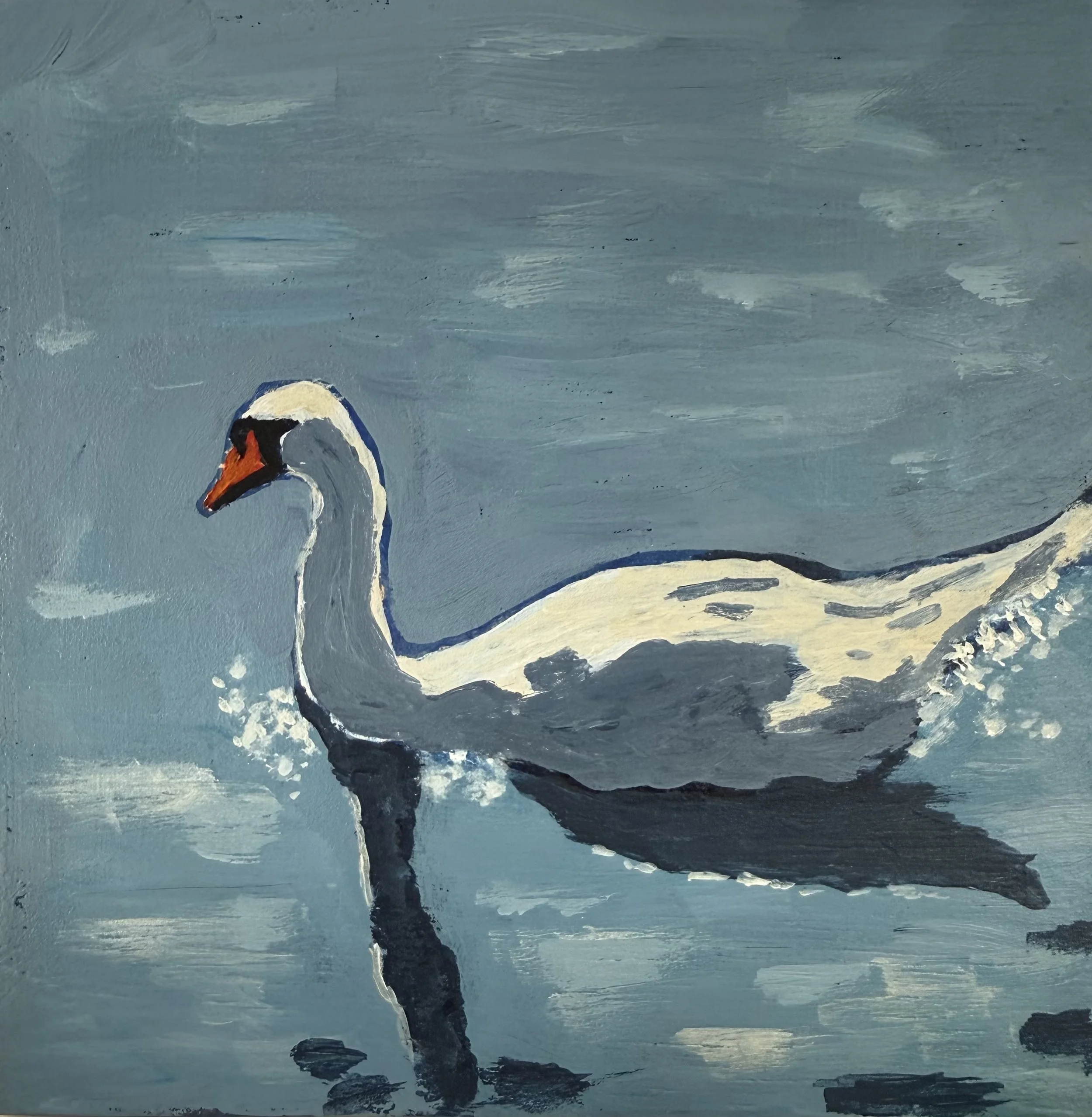 Swan at Dawn