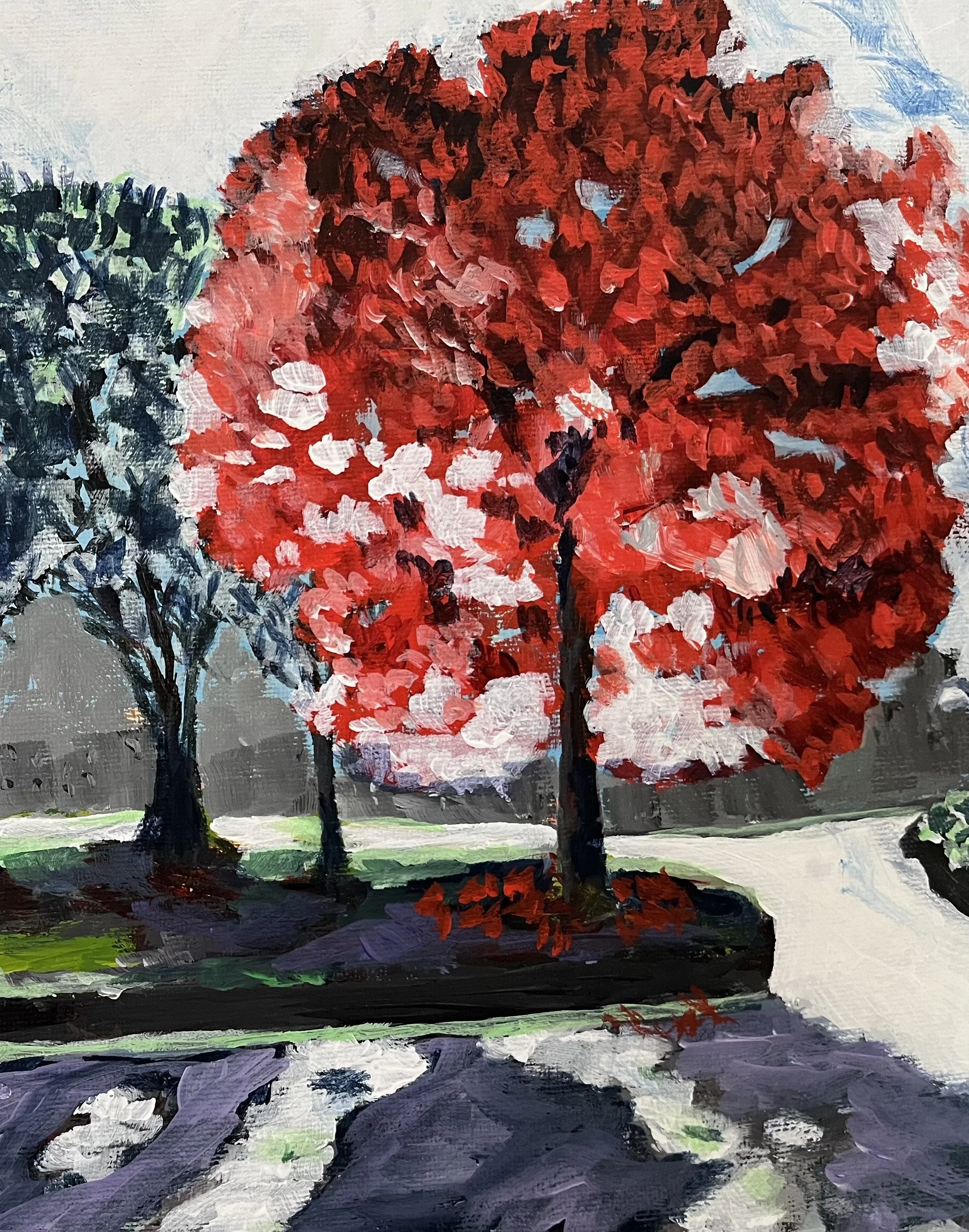 Fall Colors