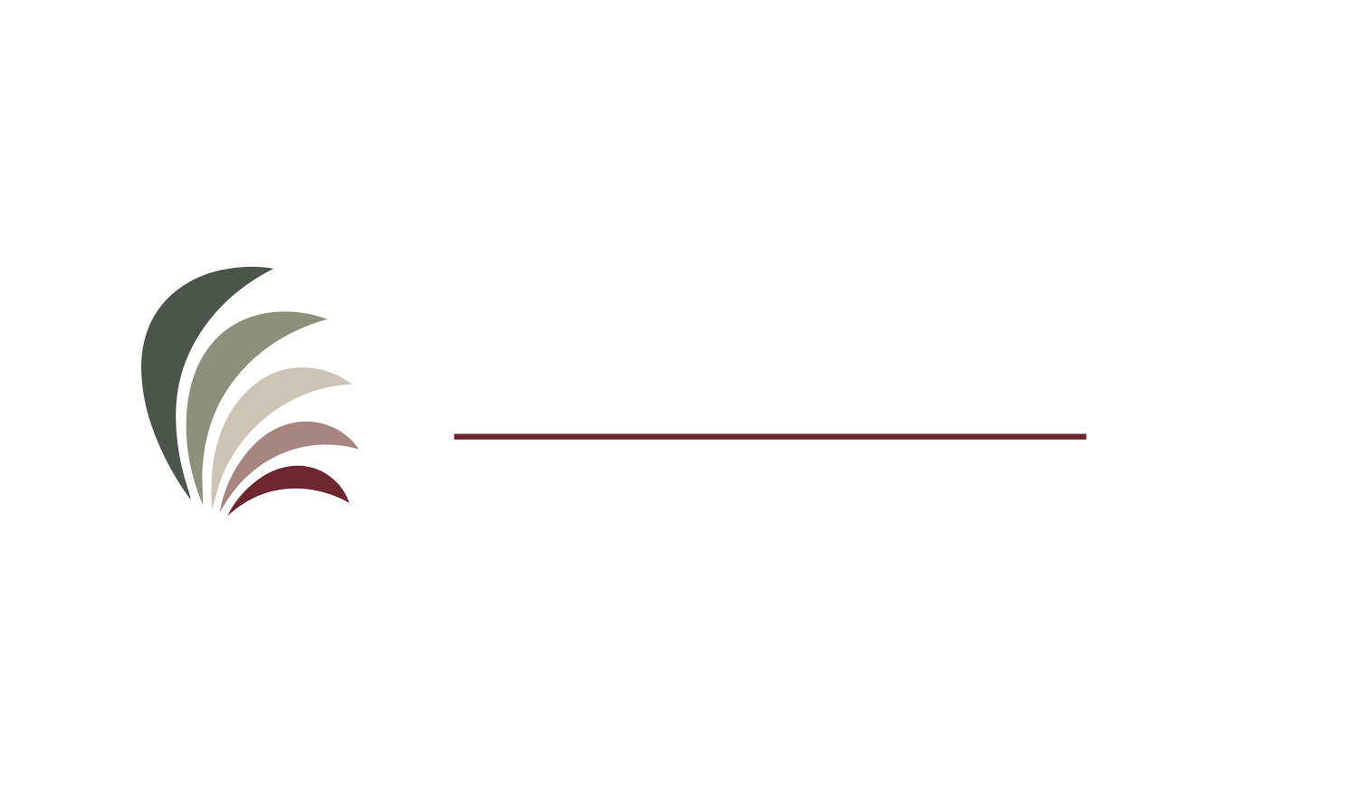 Elaria Leadership