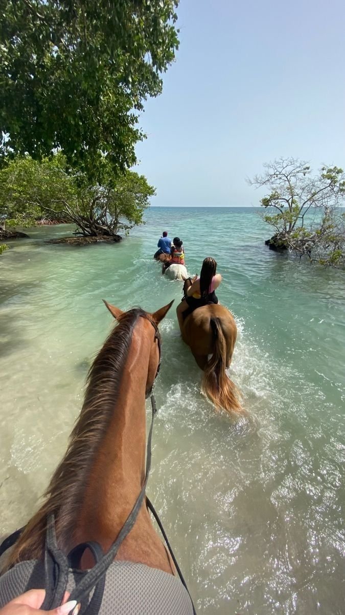 People riding horses through shallow ocean water near small trees with green leaves on a sunny day.