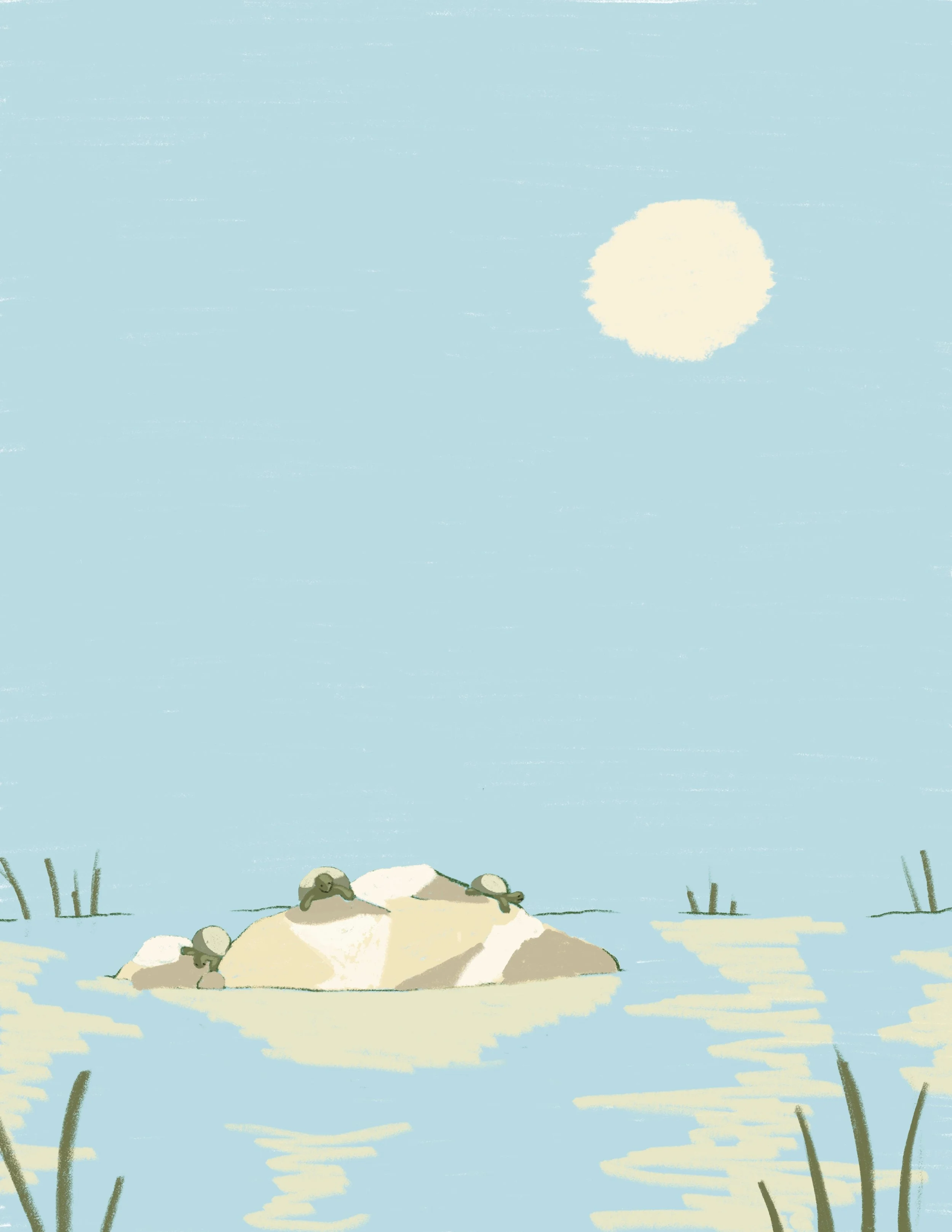 sunningturtles.jpg