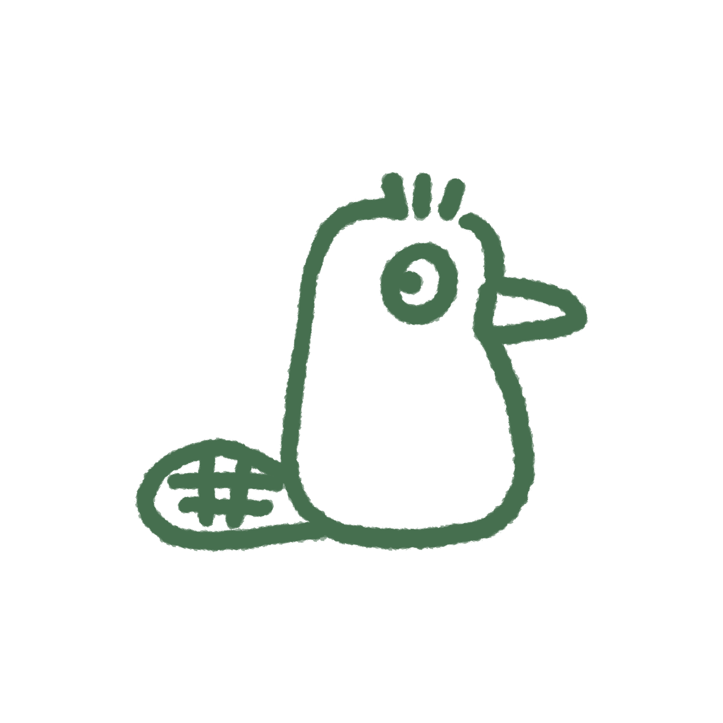 "what is the funkiest animal?" zine