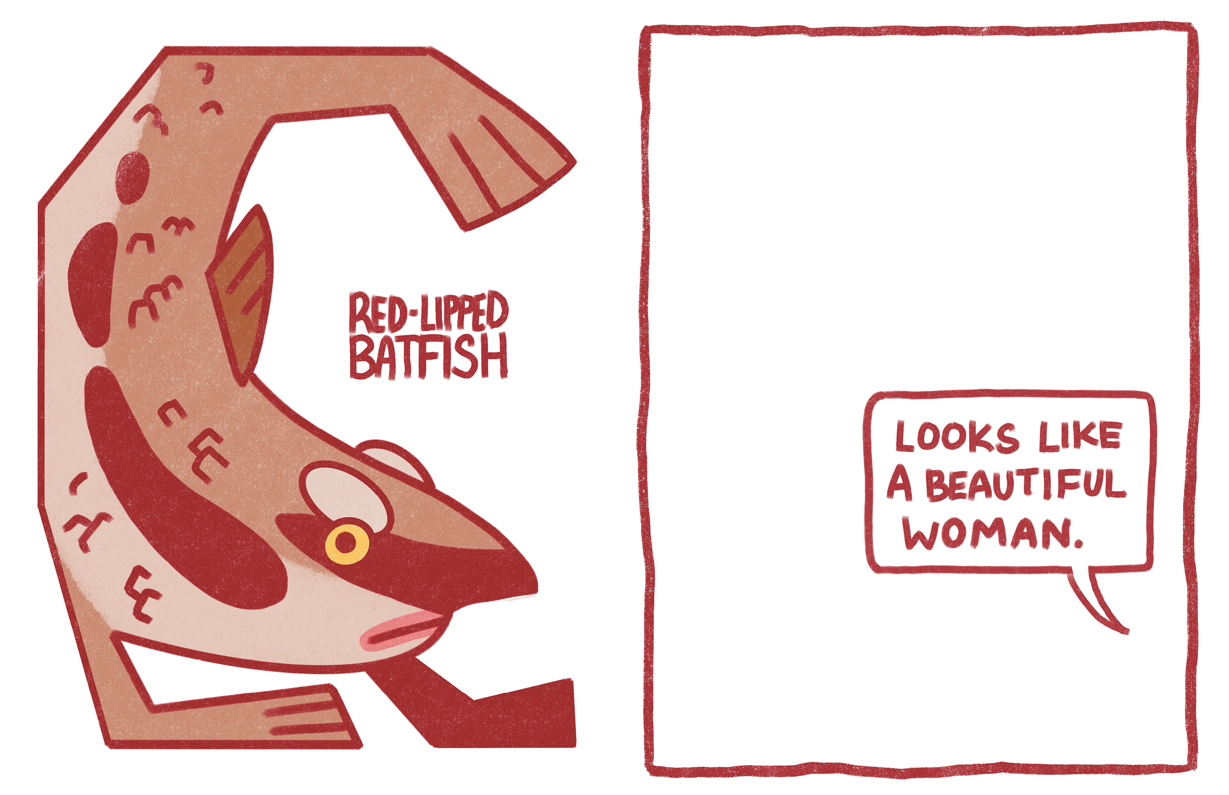 WHATISTHEFUNKIESTANIMAL_Vol1_pngs4.png