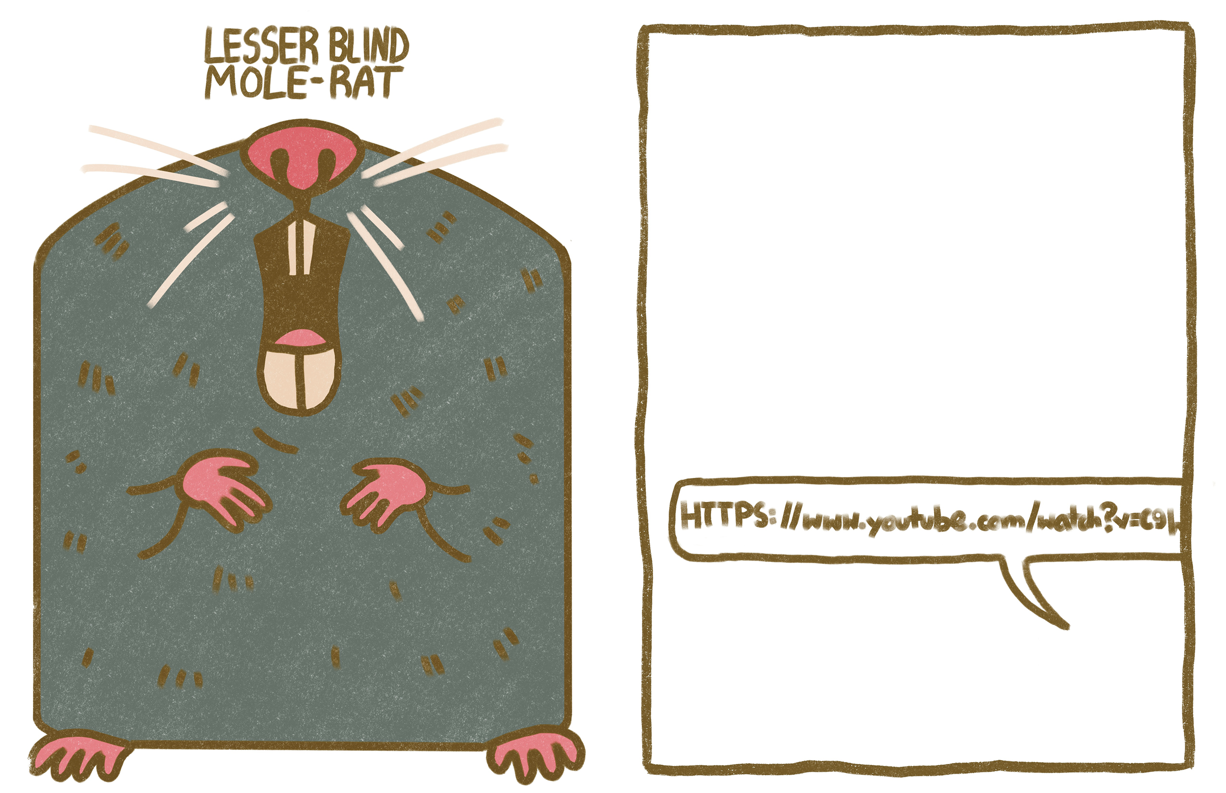 WHATISTHEFUNKIESTANIMAL_Vol1_pngs6.png