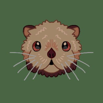 animalfaces_otter0001-0250.gif