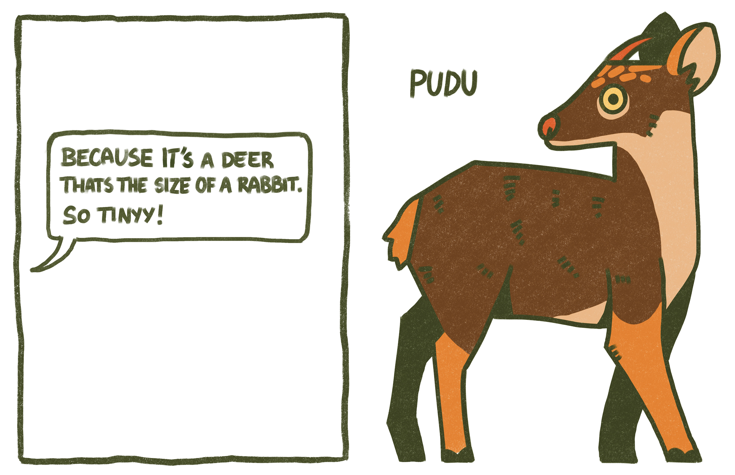 WHATISTHEFUNKIESTANIMAL_Vol1_pngs3.png