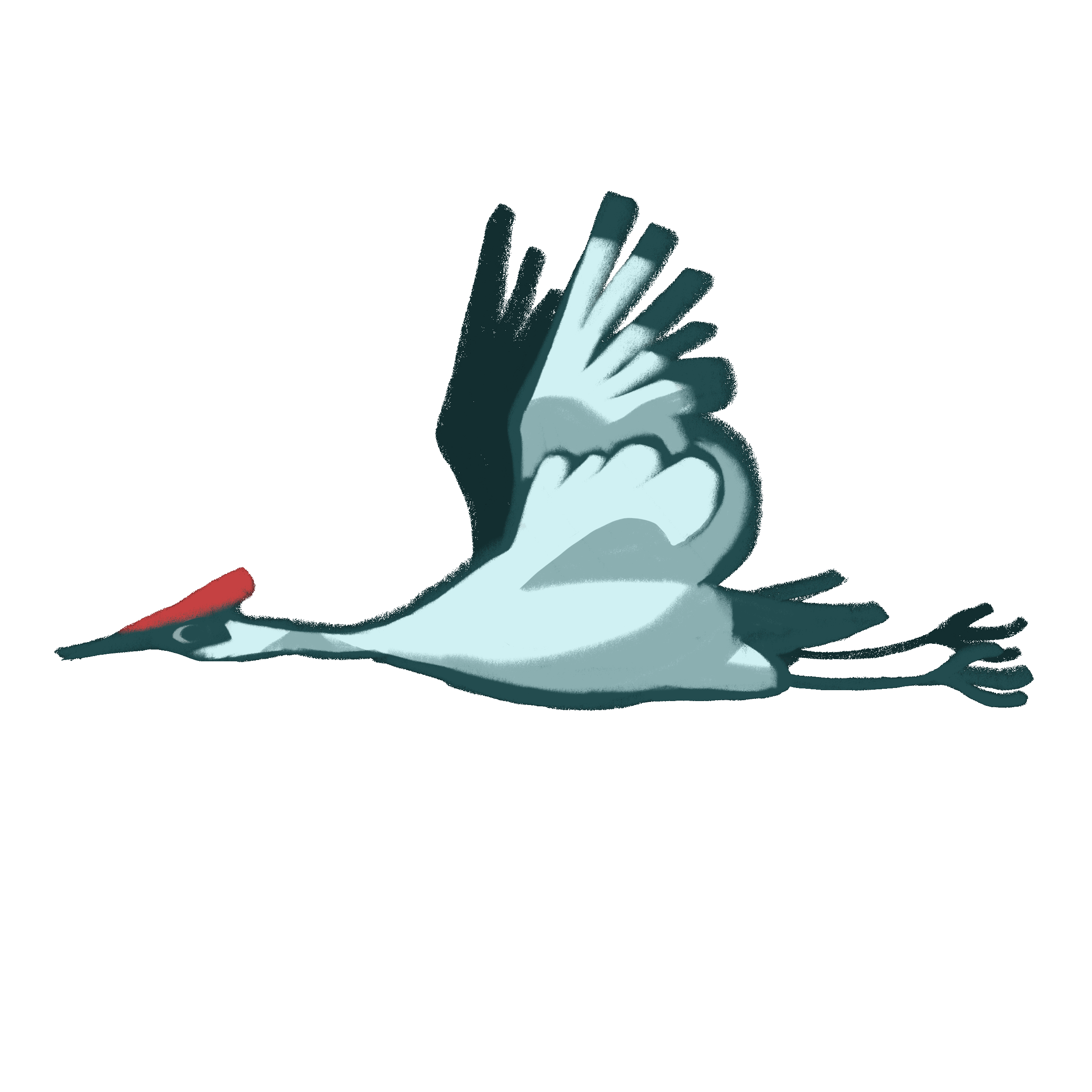 Flying Crane