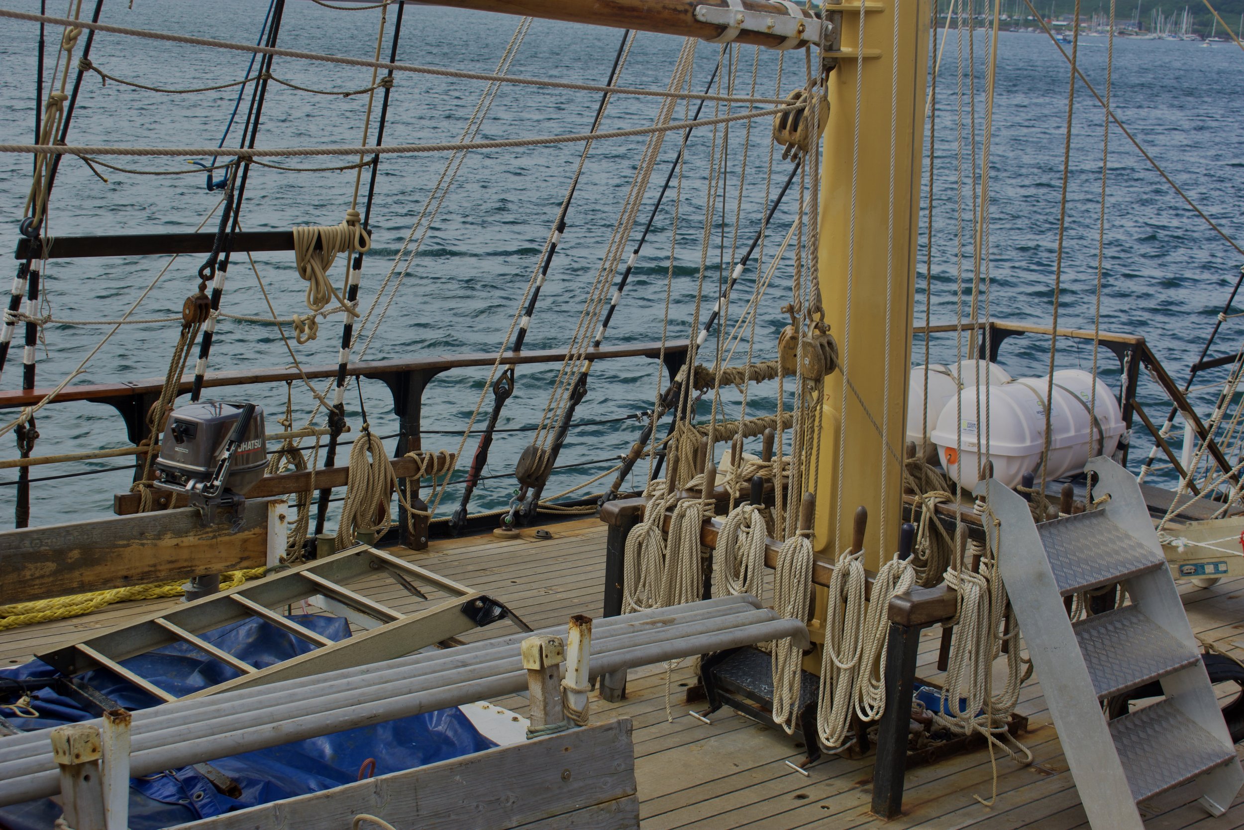 _AGW0658.jpg