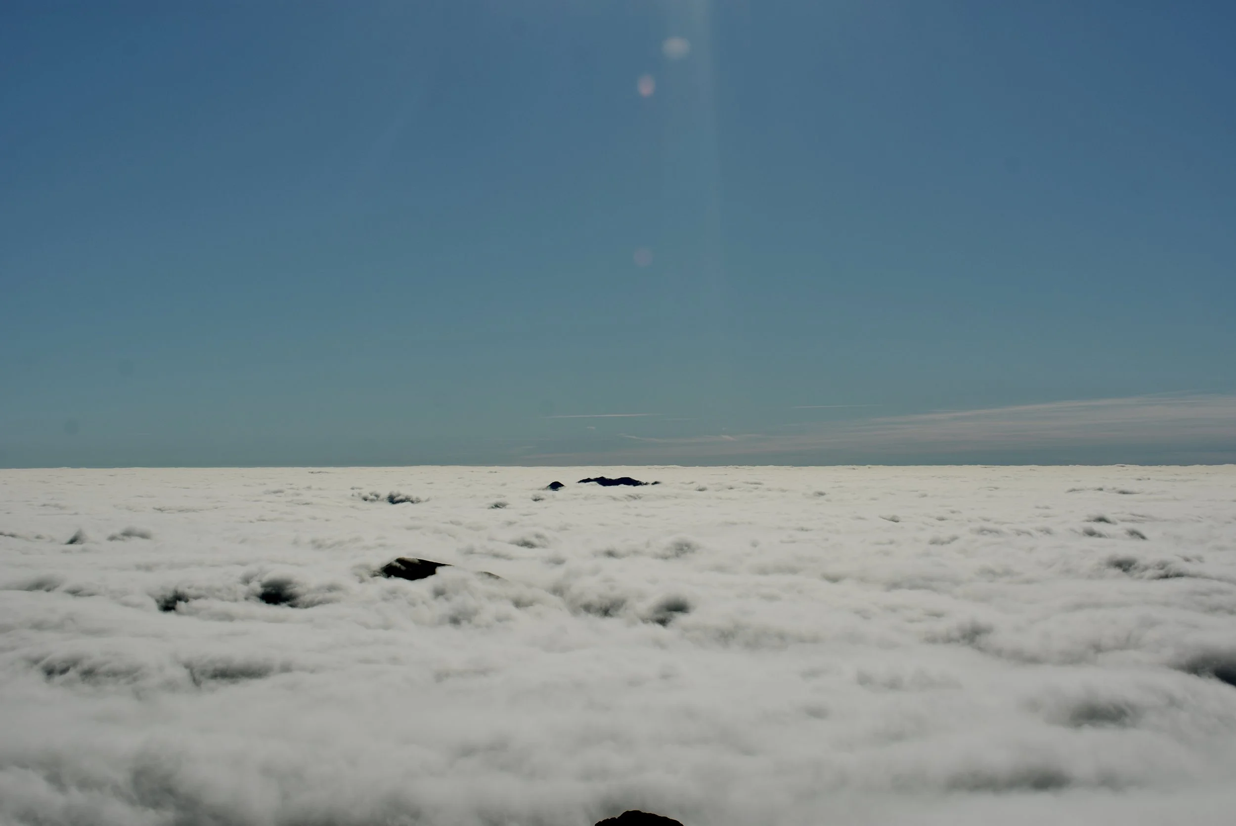 _AGW0906.jpg