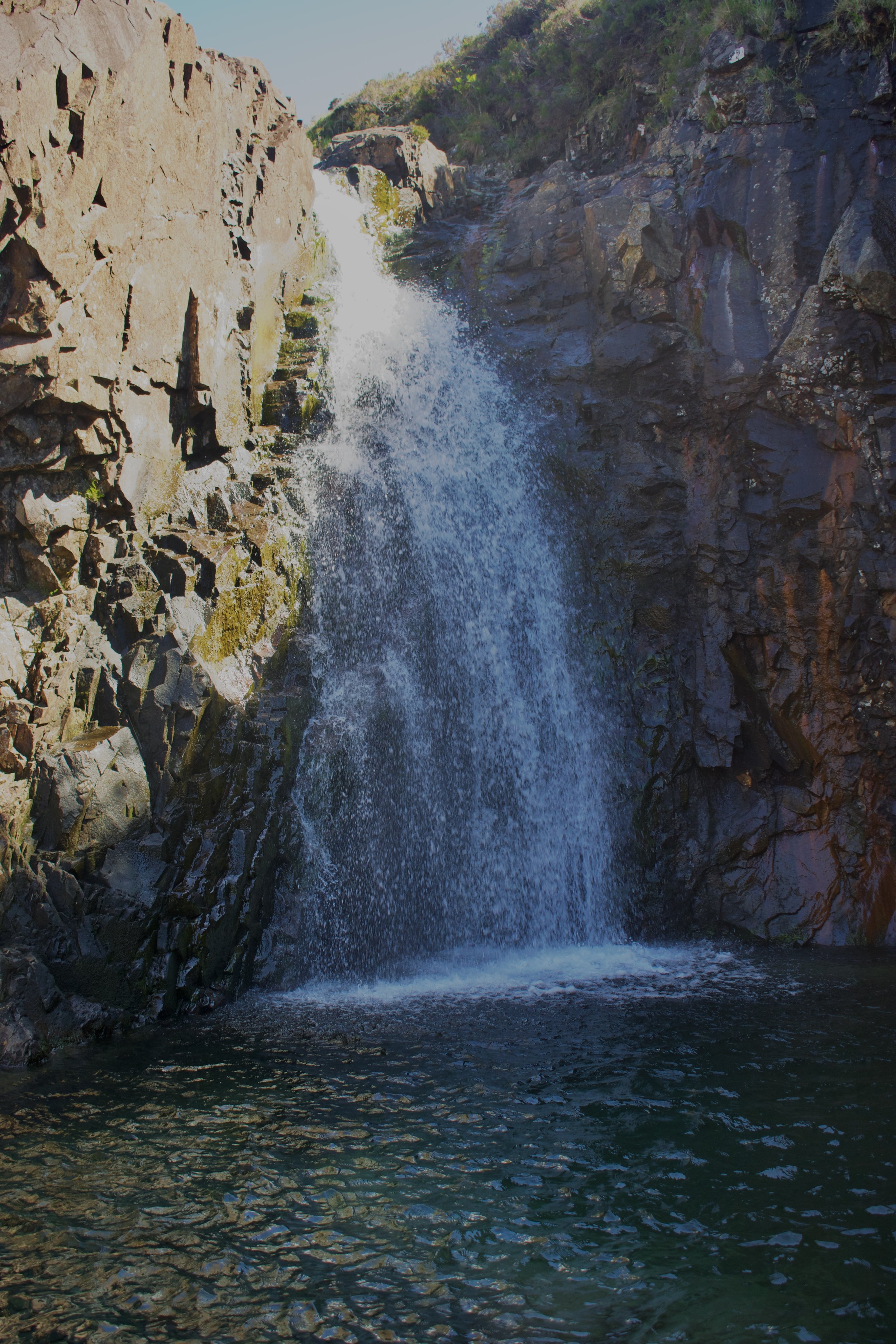 _AGW0287.jpg