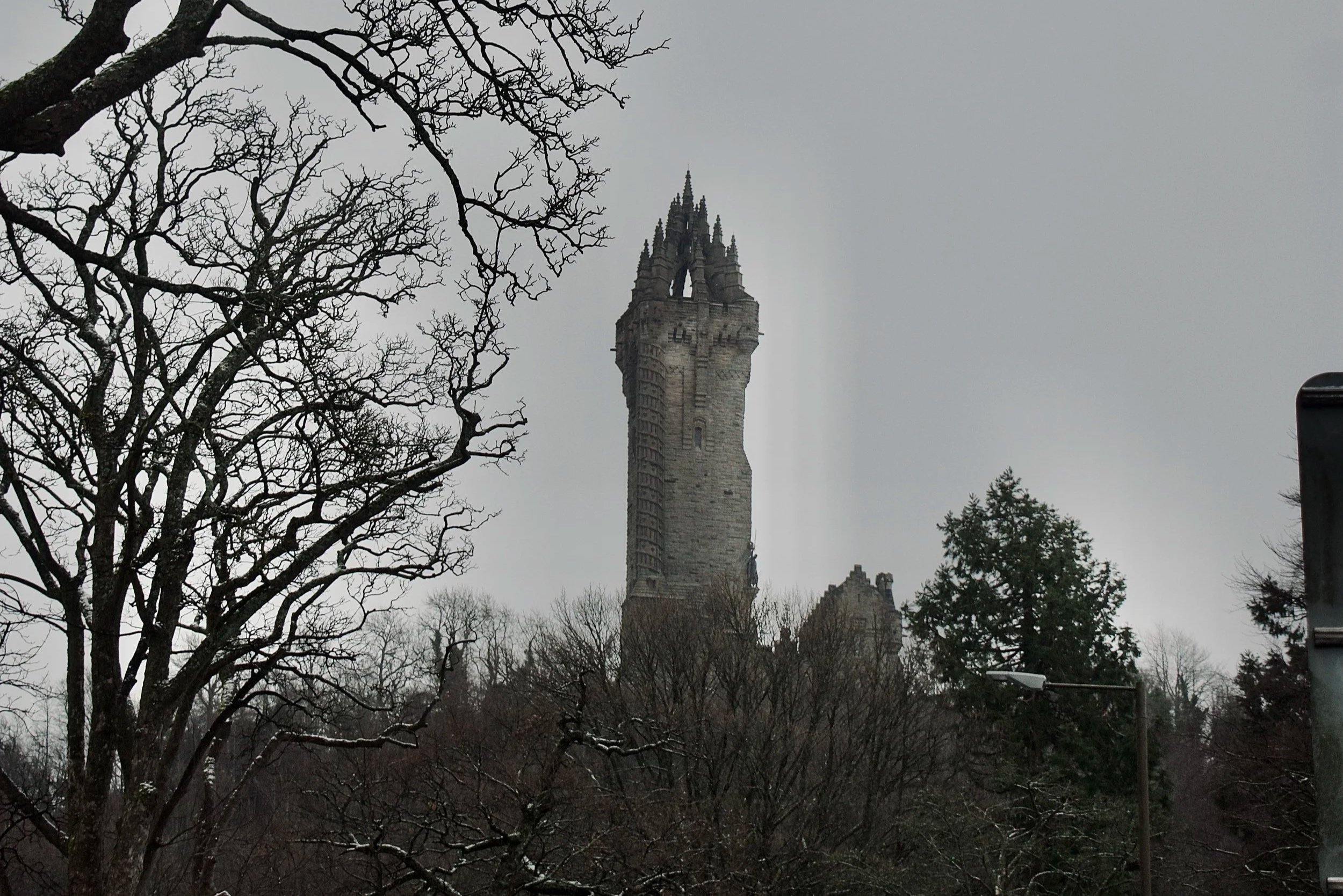 _AGW0026.jpg