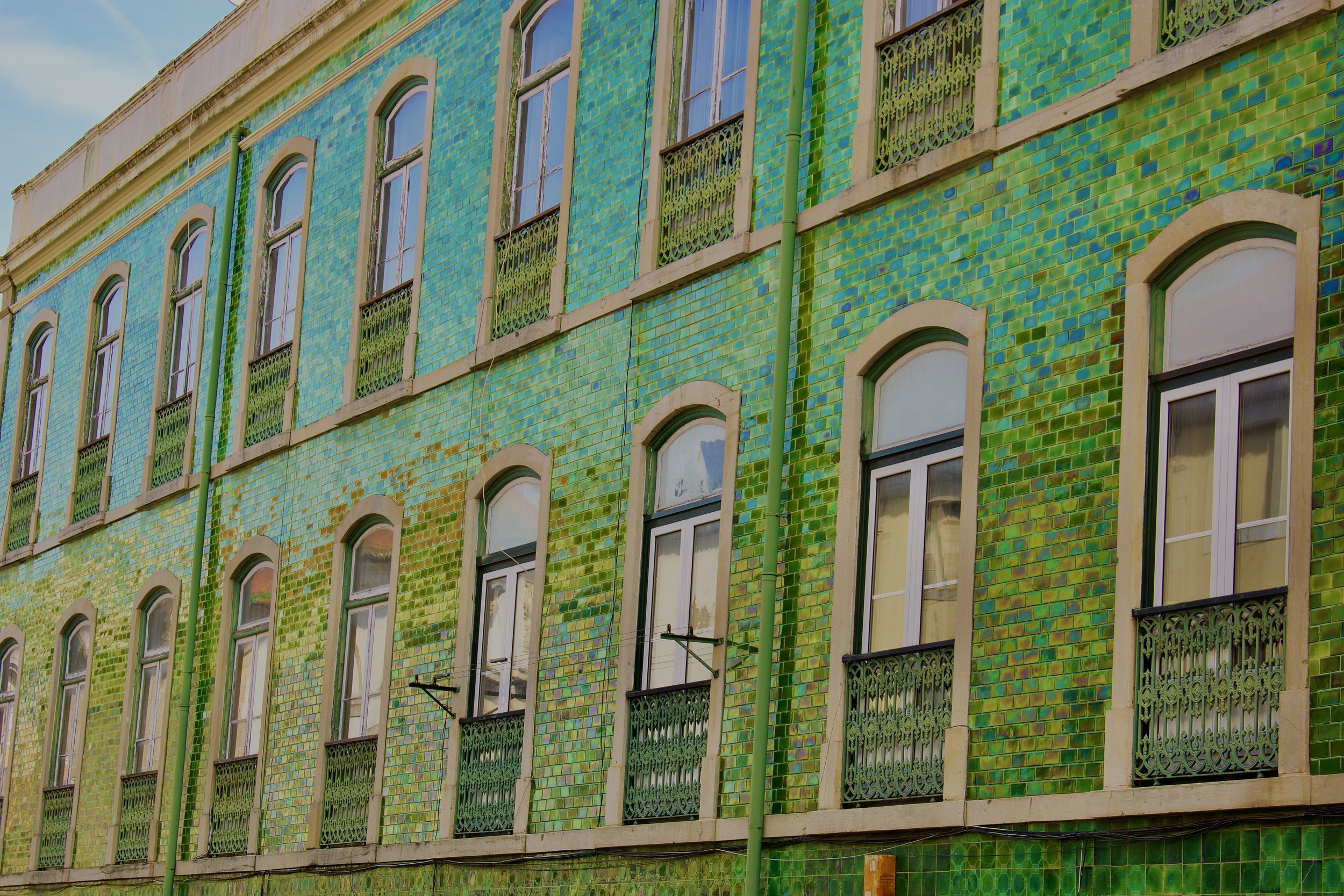 _AGW0729.jpg