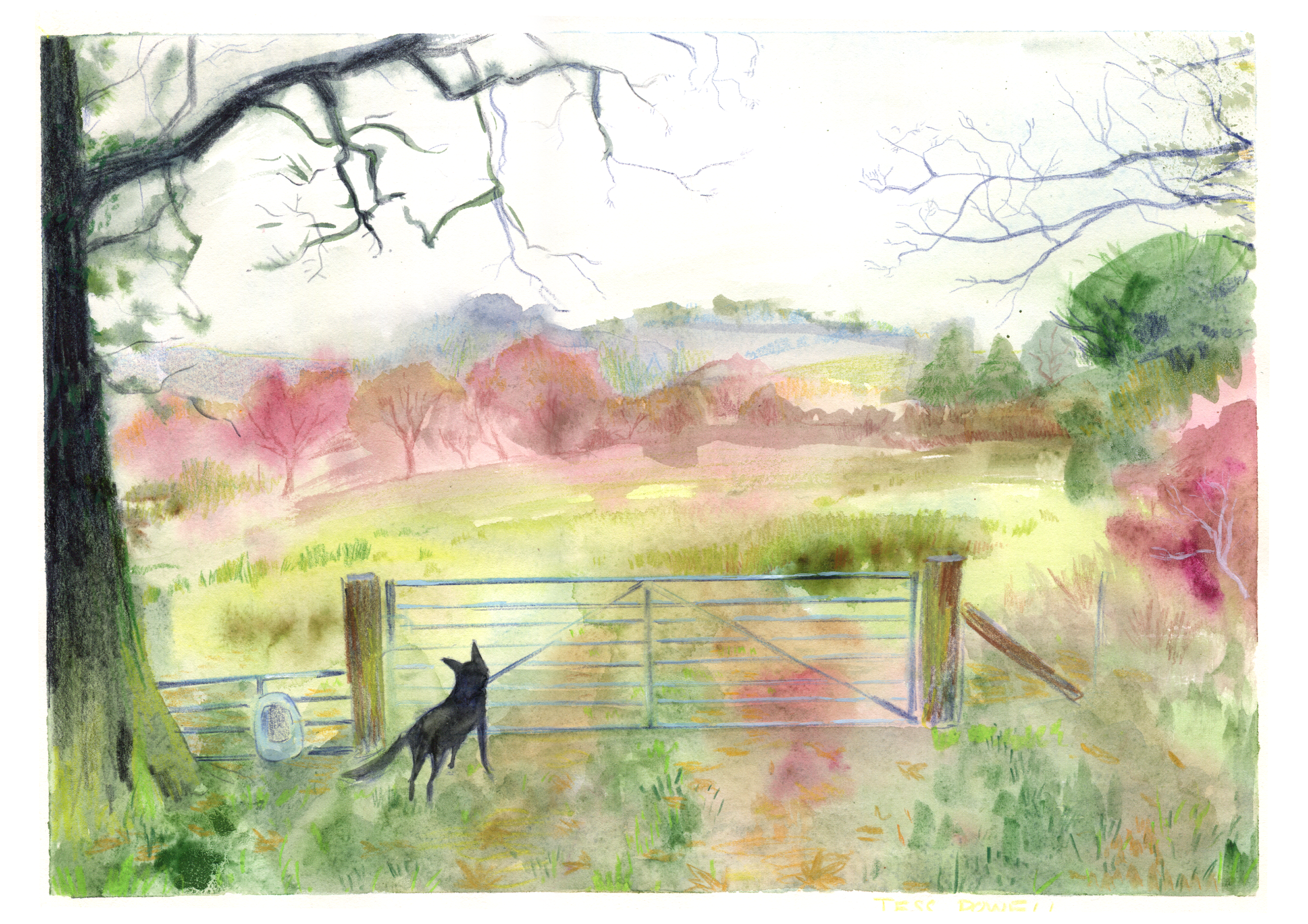 'Molly on the Farm' watercolor and color pencil on paper