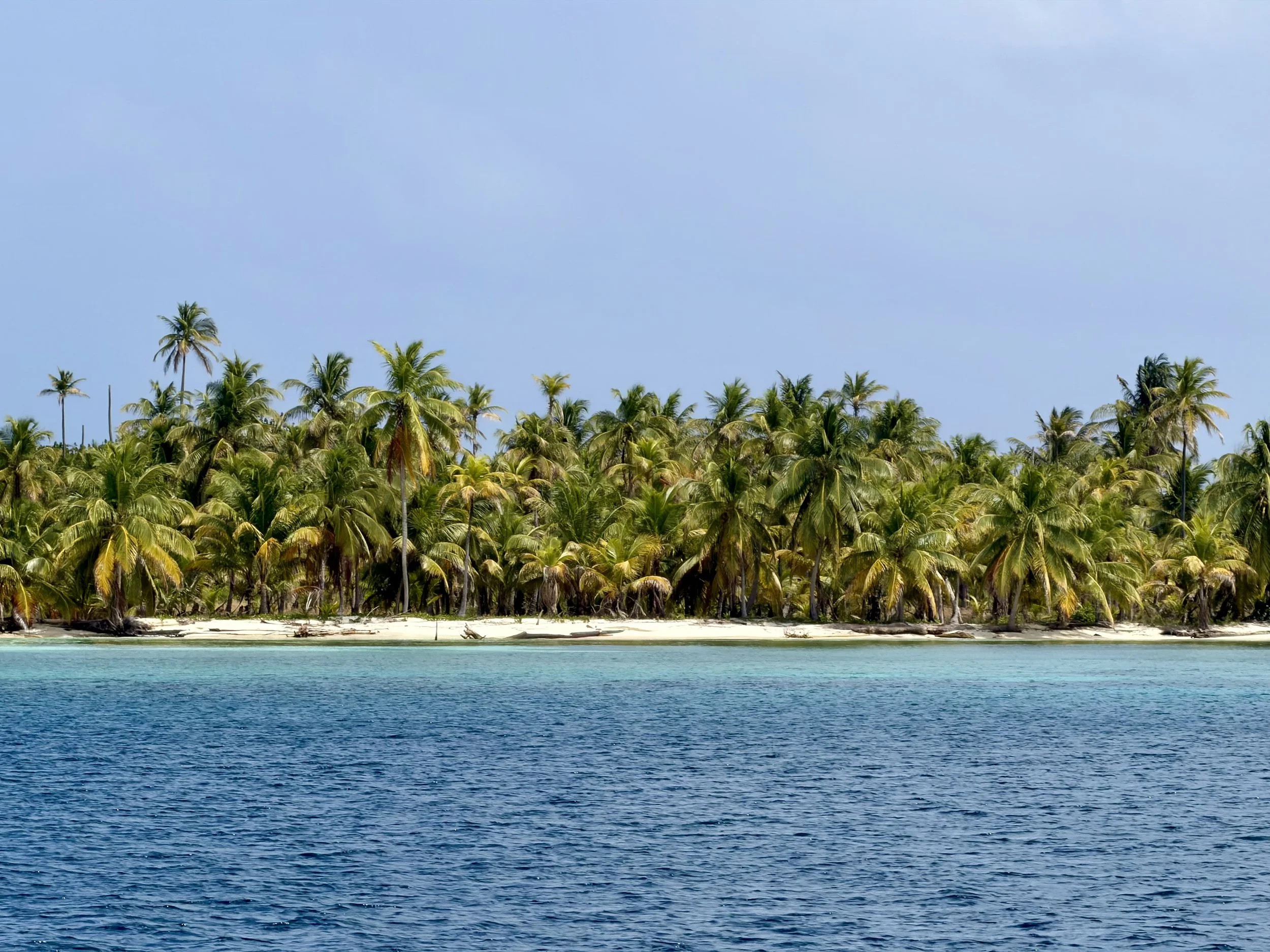 A tropical scene of blue waters in the foreground, a sandy shoreline, and dense green palm trees under a clear blue sky.