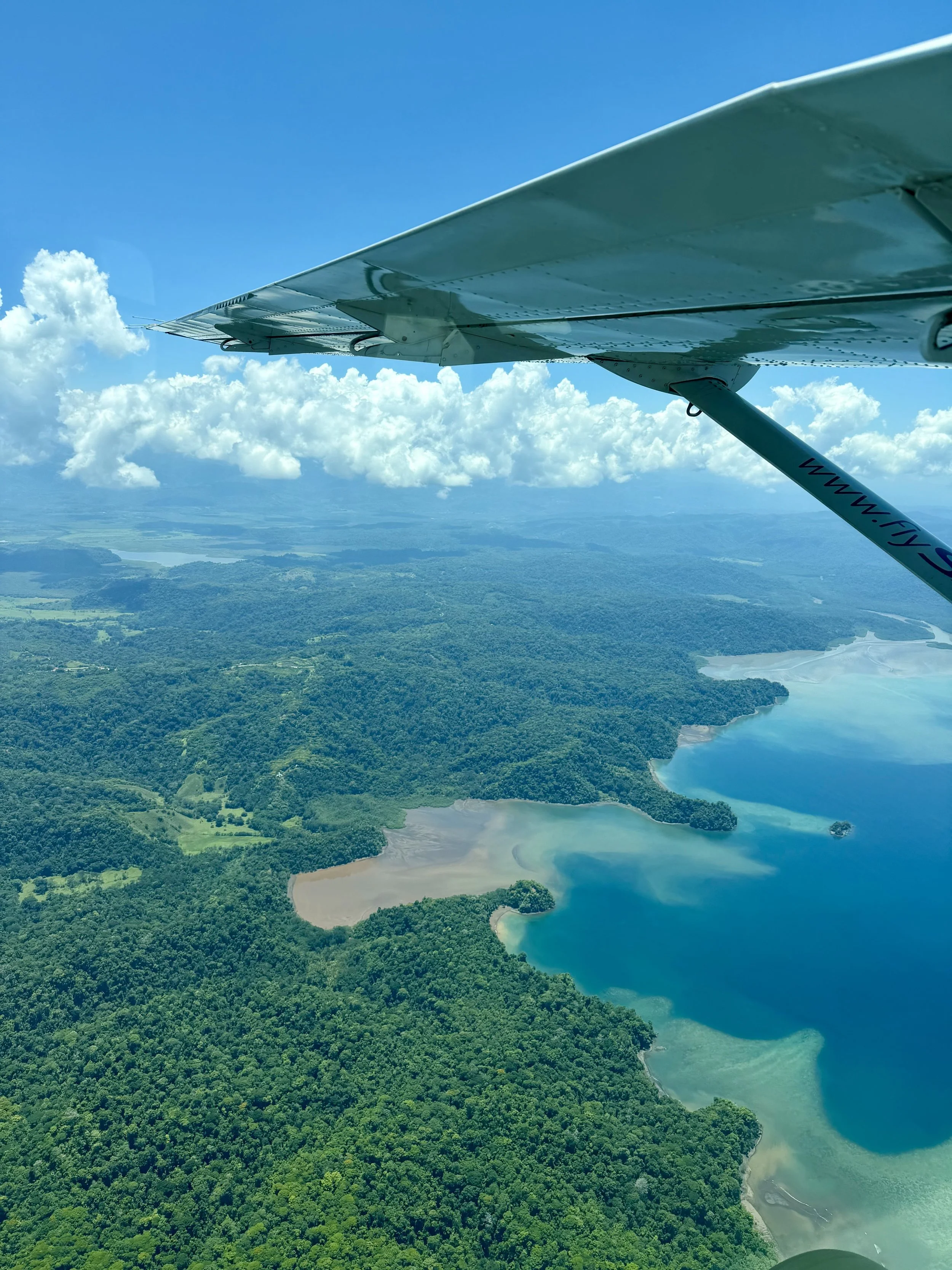 View from an airplane wing showing a landscape of green forests, a river, and blue skies with fluffy clouds.