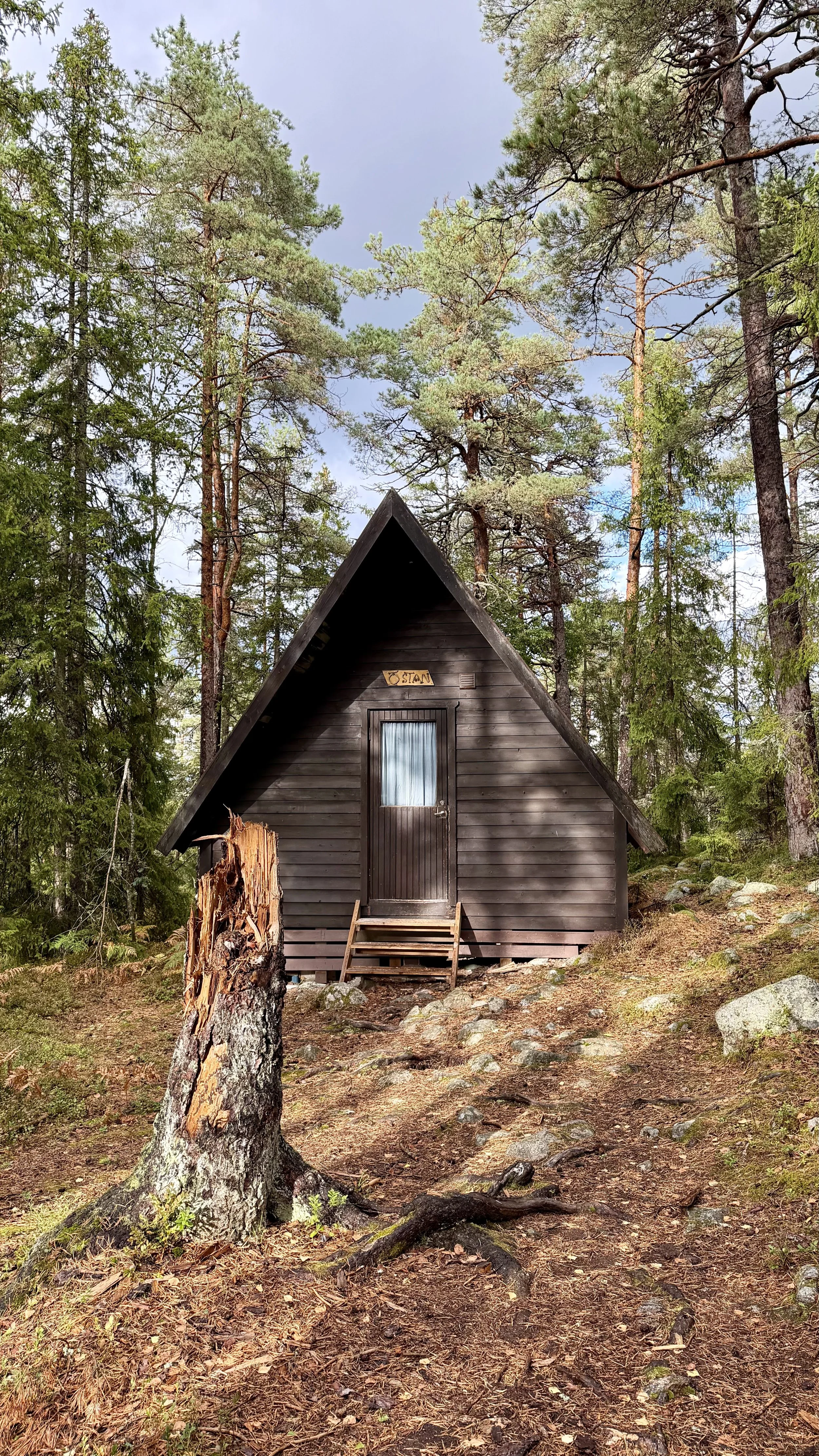 A small dark wooden cabin with stairs leading to the front door, situated in a forest with tall pine trees, scattered rocks, and a fallen tree trunk in the foreground.