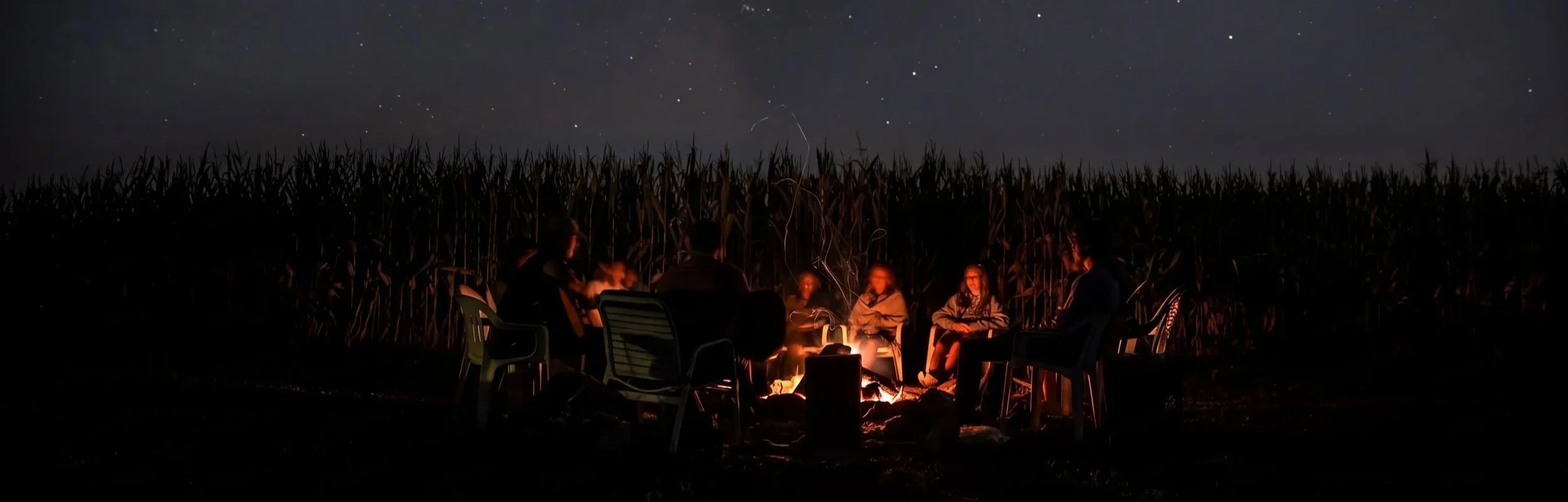 A group of people sitting around a campfire at night in an open field with tall grass, under a starry sky.