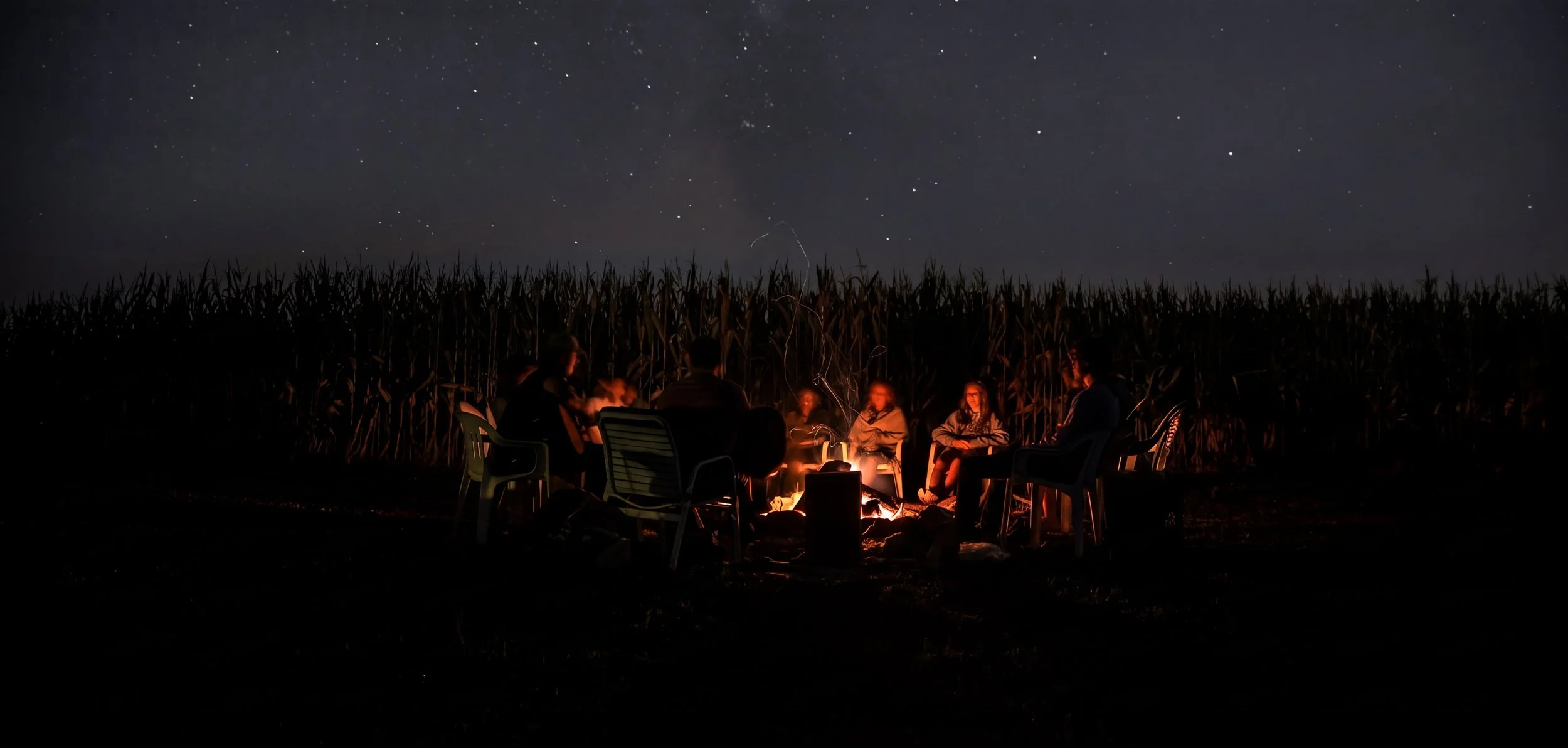 People sitting around a campfire at night near a field of tall crops under a starry sky.