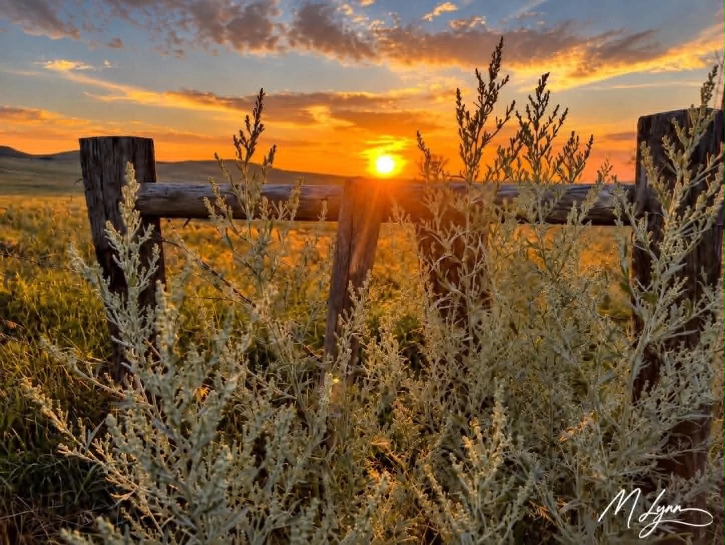 Beyond the Fence Line