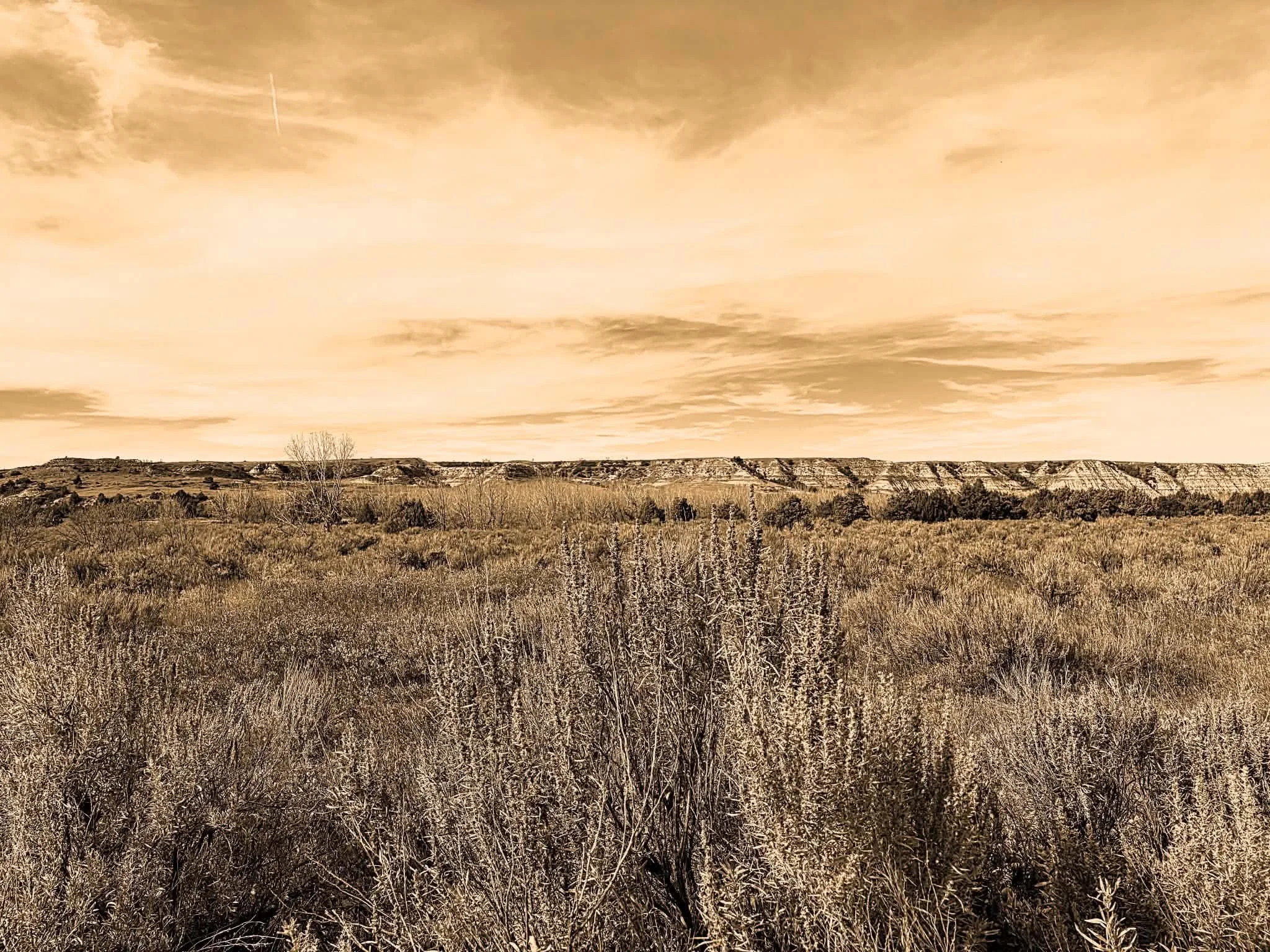 Roosevelt Country