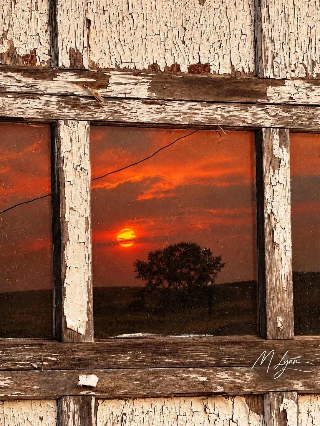 through-the-weathered-years.jpg