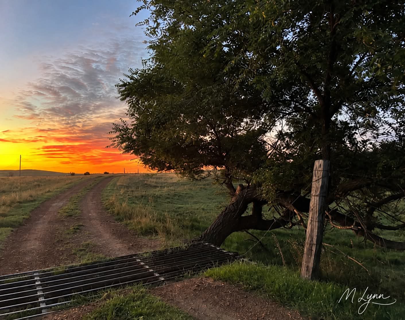 beyond-the-cattle-guard.jpg