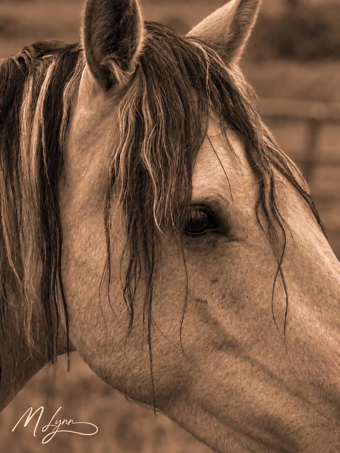 Weathered Grace