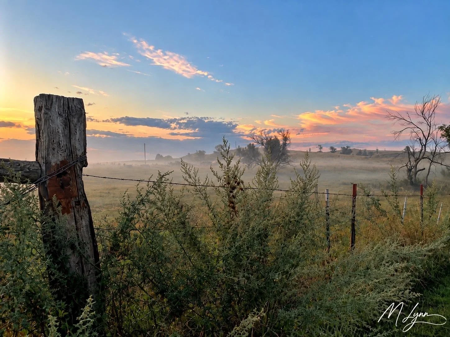 Morning Whispers
