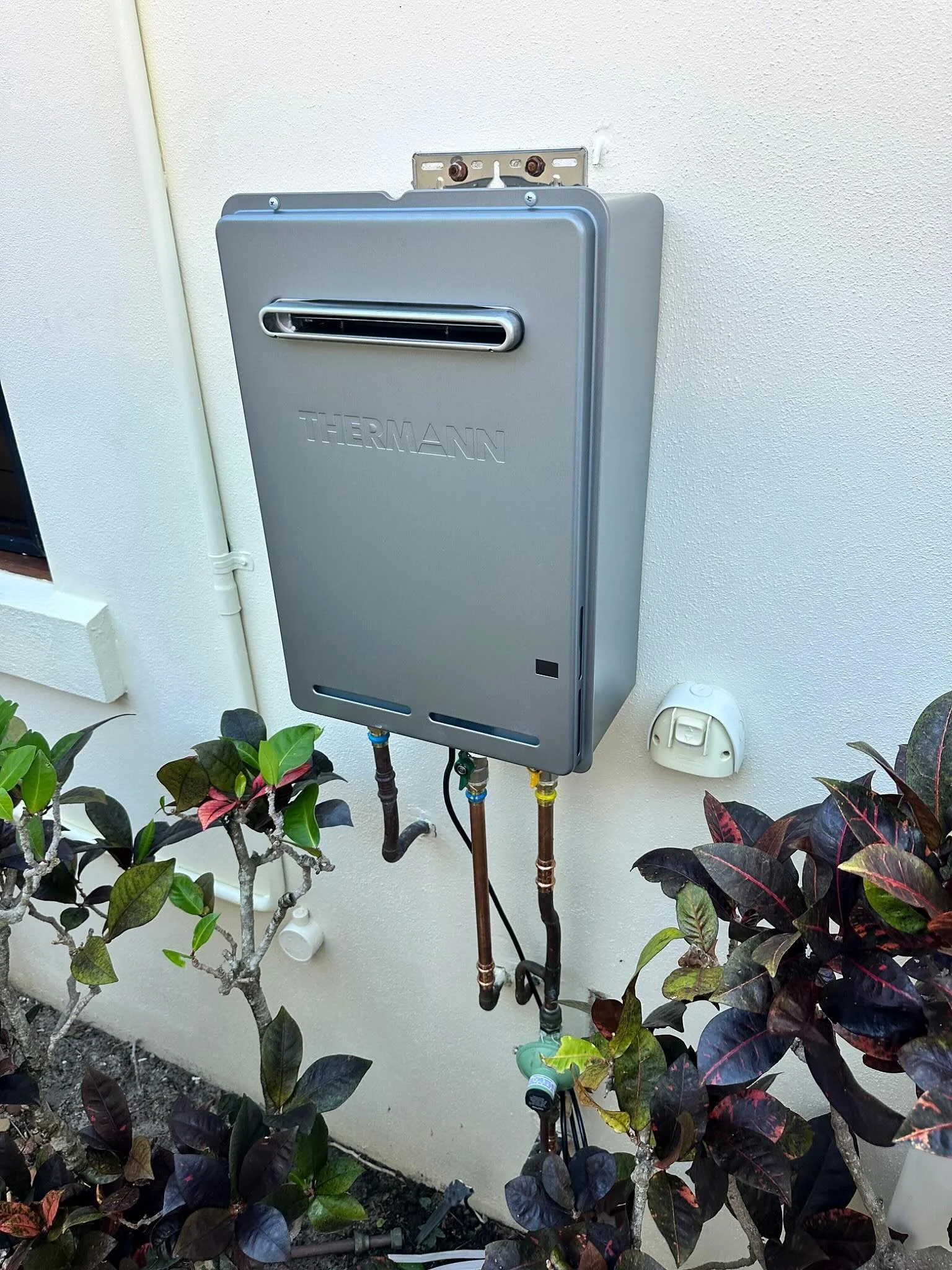 A metallic outdoor tank labeled 'THERMANN' mounted on a wall, with plumbing pipes connected at the bottom, surrounded by green and purple-leafed plants.