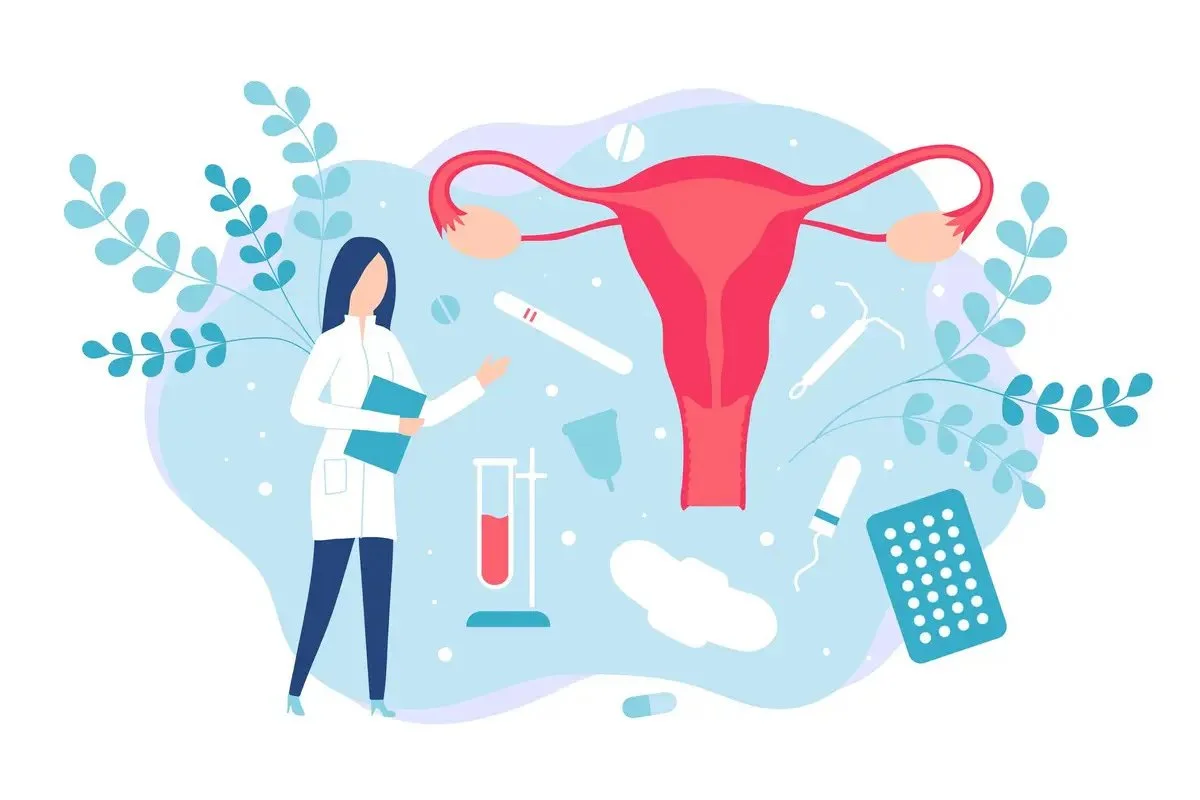 Flow by Flow: Understanding each phase of the Menstrual Cycle