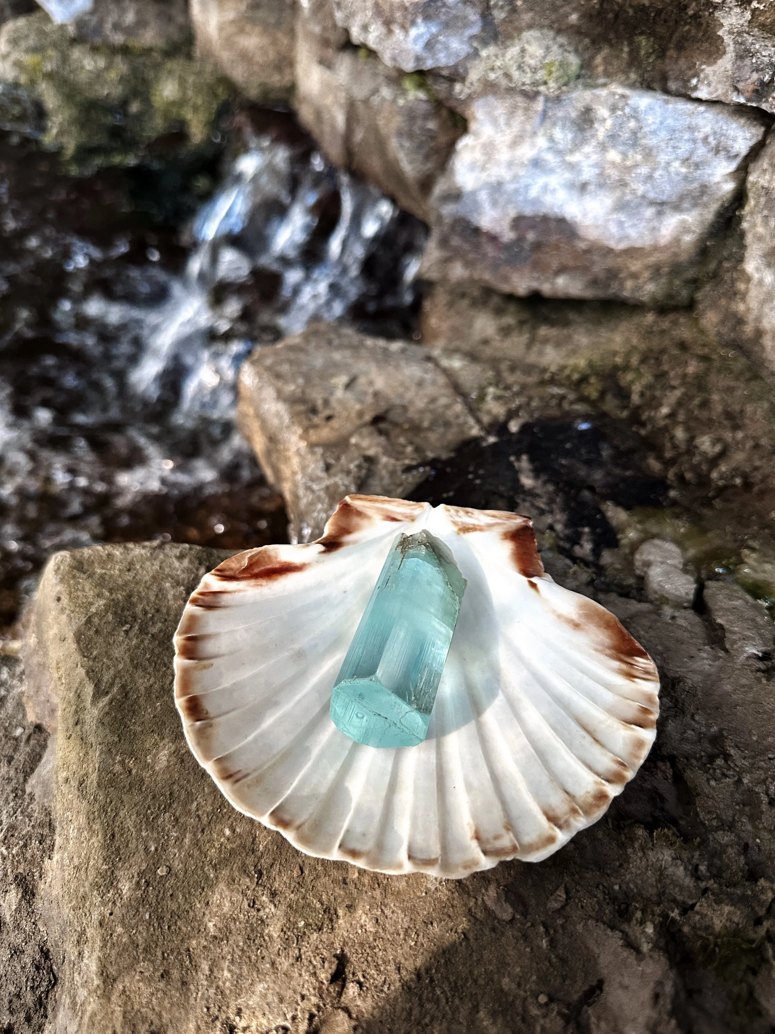 A seashell with a large blue-green crystal placed inside on a rocky surface near a small stream of water.