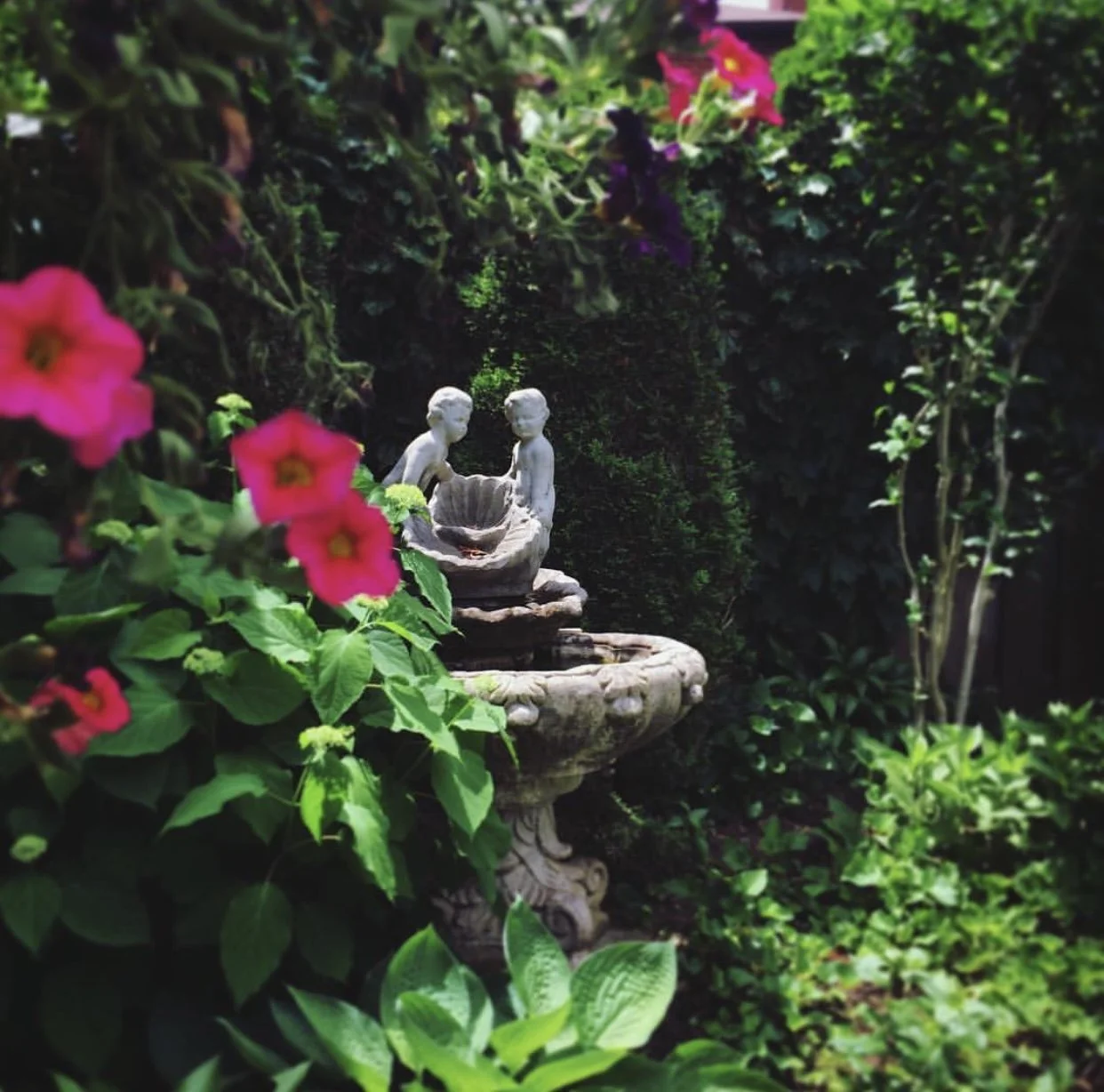 A garden with a stone birdbath, featuring two small statues of children inside, surrounded by lush green plants and pink flowers.