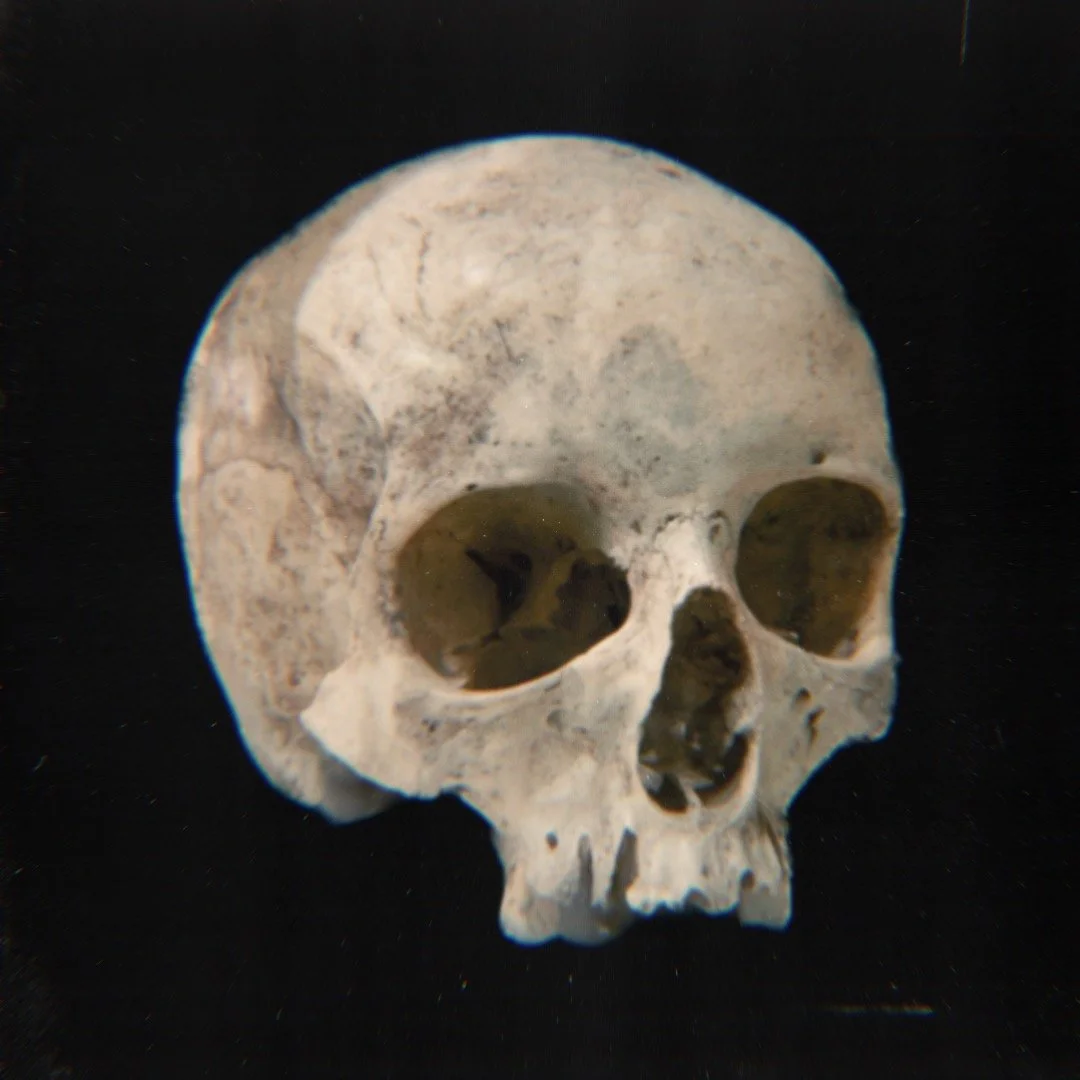 A human skull fossil on a black background.