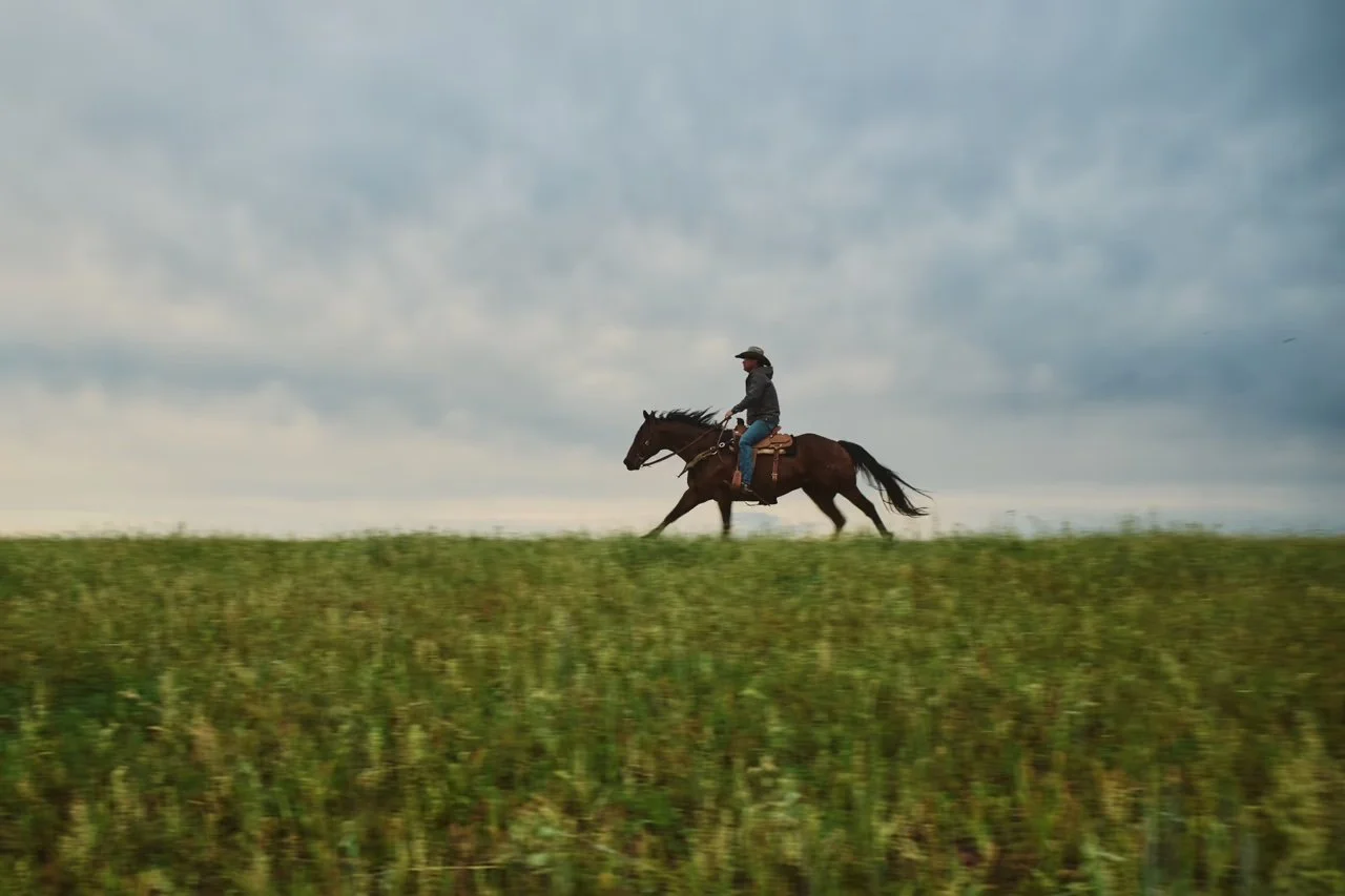 Person riding a horse across a grassy field with a cloudy sky overhead.